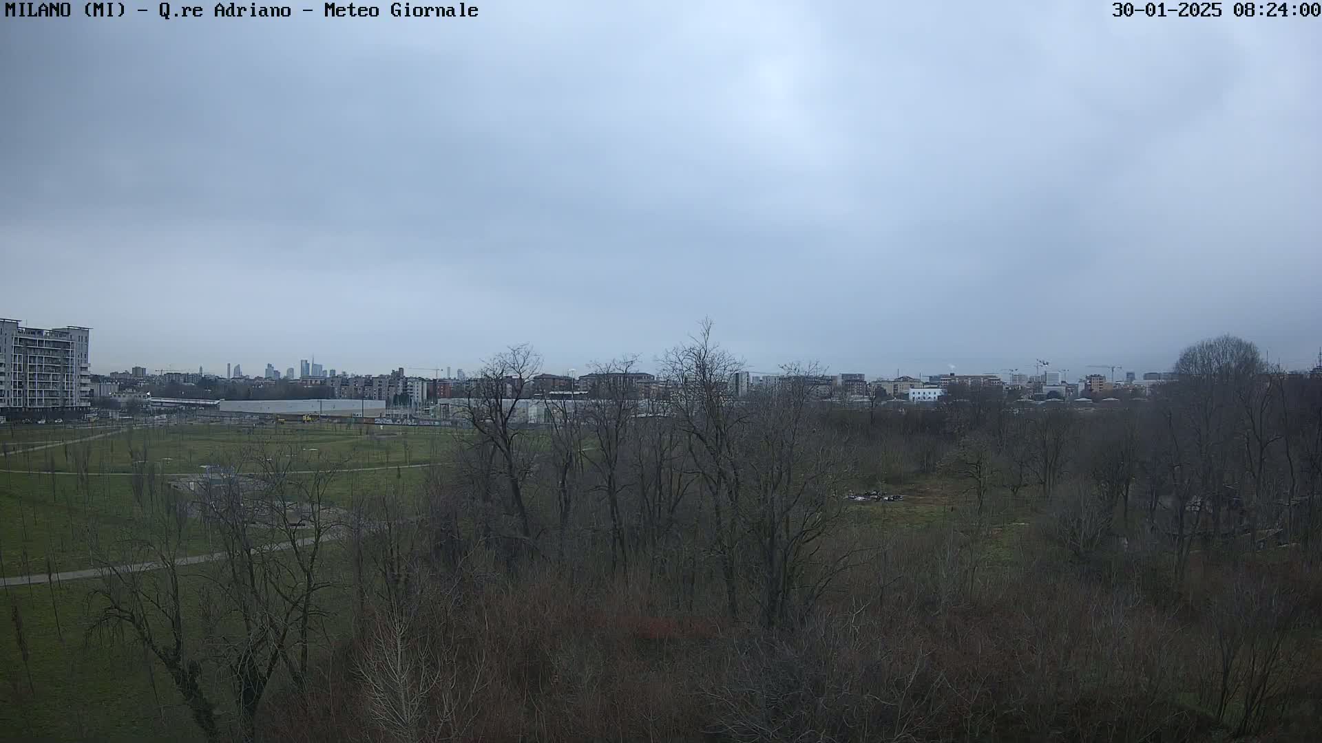 A view of a park with leafless trees and a distant city skyline under an overcast sky.