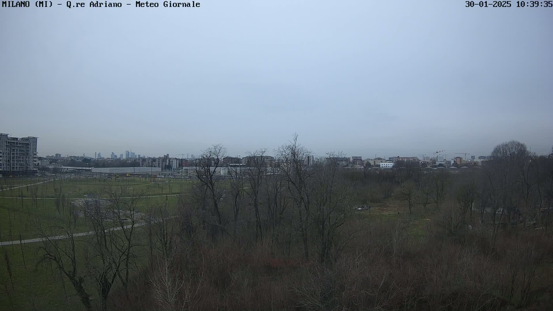 A view of a park and city skyline under an overcast sky.