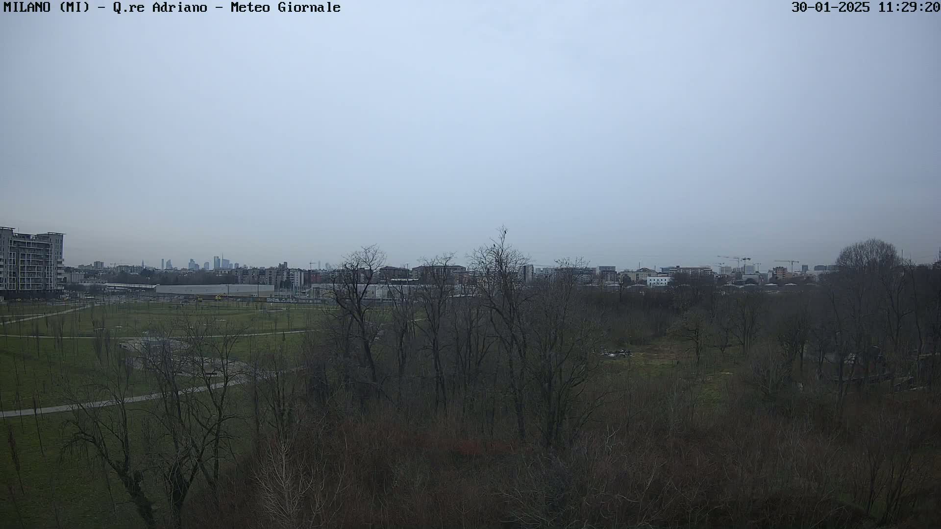 A view of a park with bare trees and a city skyline in the distance under an overcast sky.