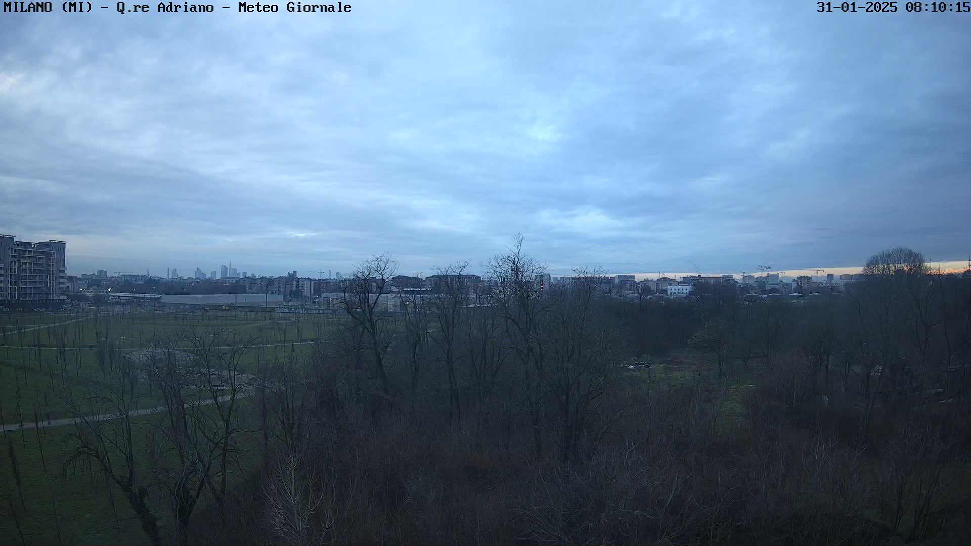 A mostly cloudy, dusky sky overlooks a flat expanse of parkland and leafless trees, with a distant cityscape visible on the horizon.