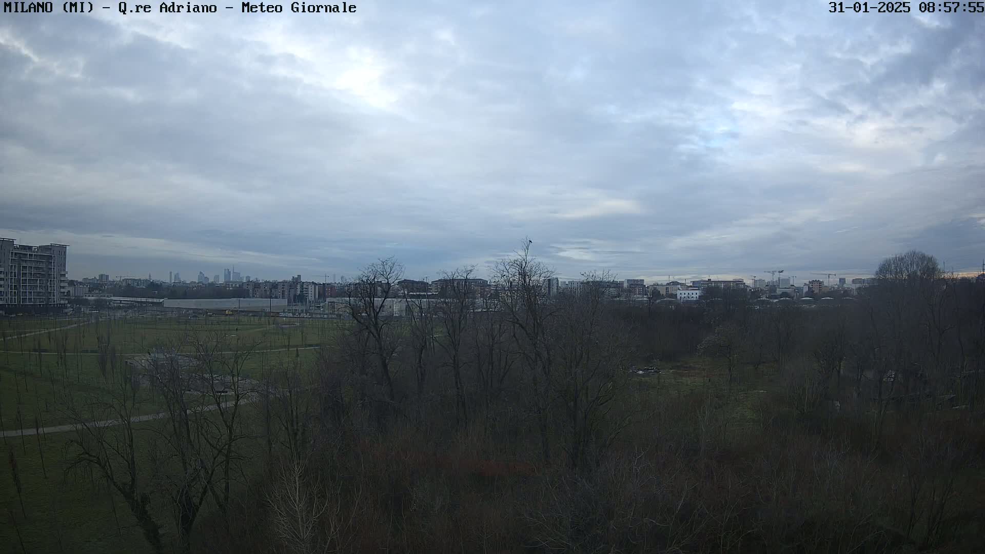 A view of a park with bare trees under a cloudy sky, showing a city skyline in the distance.