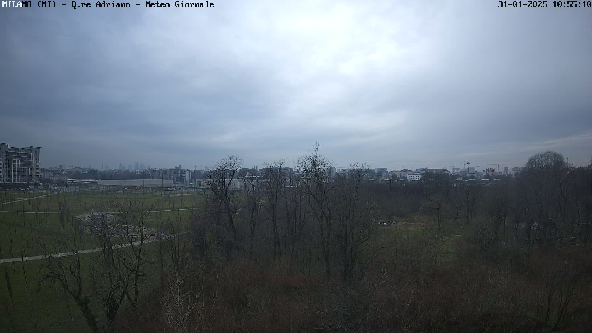 A view of a park with bare trees and a city skyline in the distance under a cloudy sky.