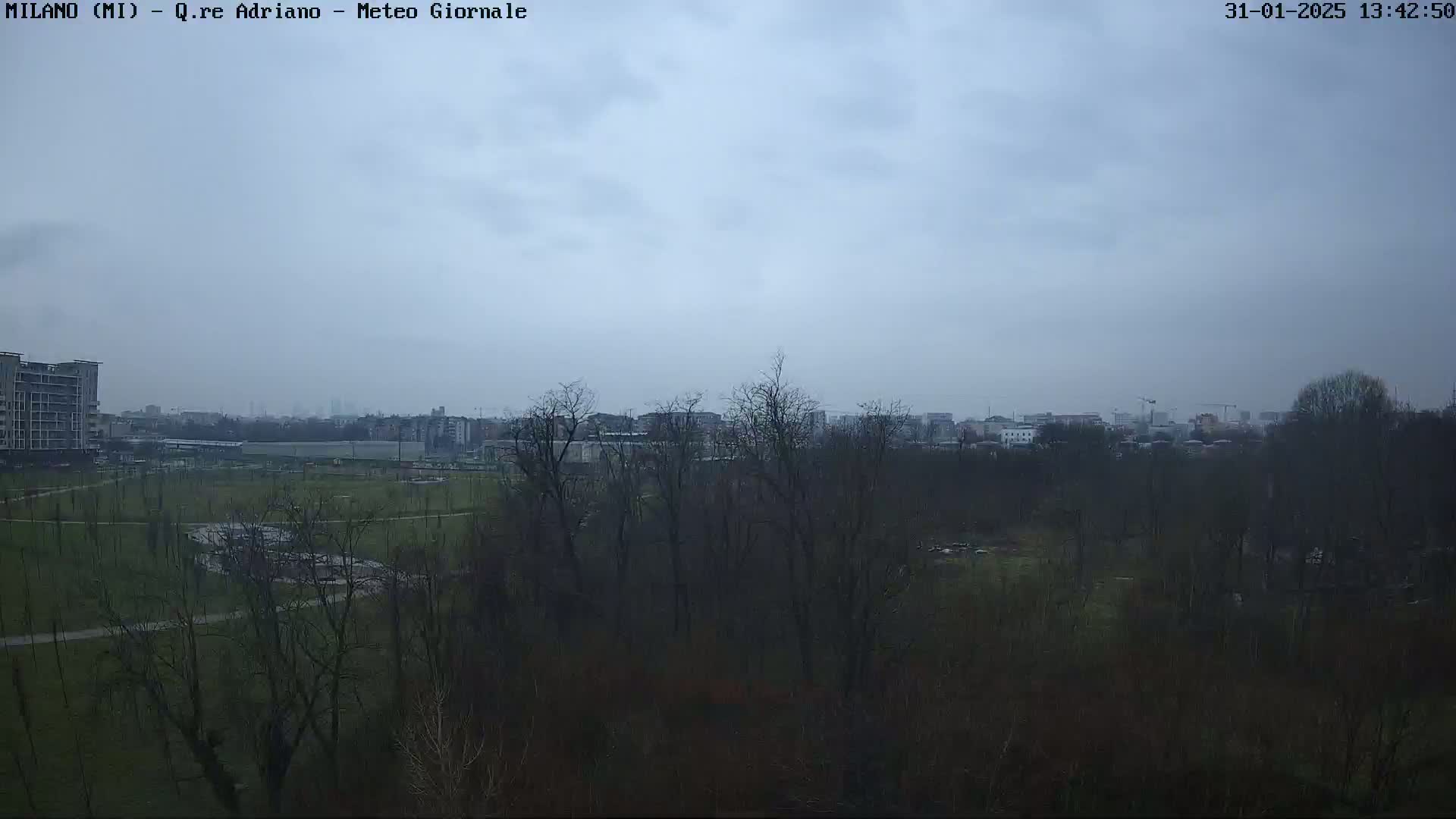 A view of a park and buildings in the distance under an overcast sky.