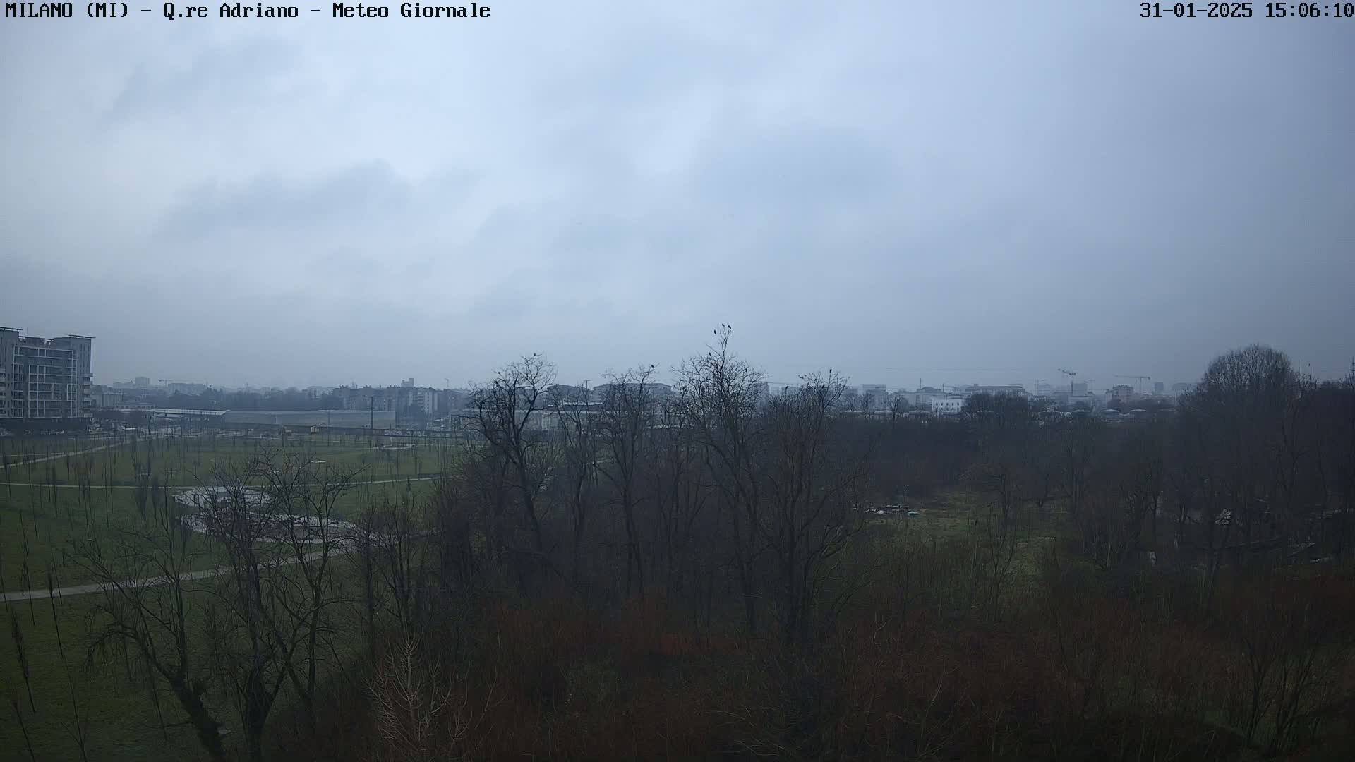 A view of a park and city skyline under an overcast sky.
