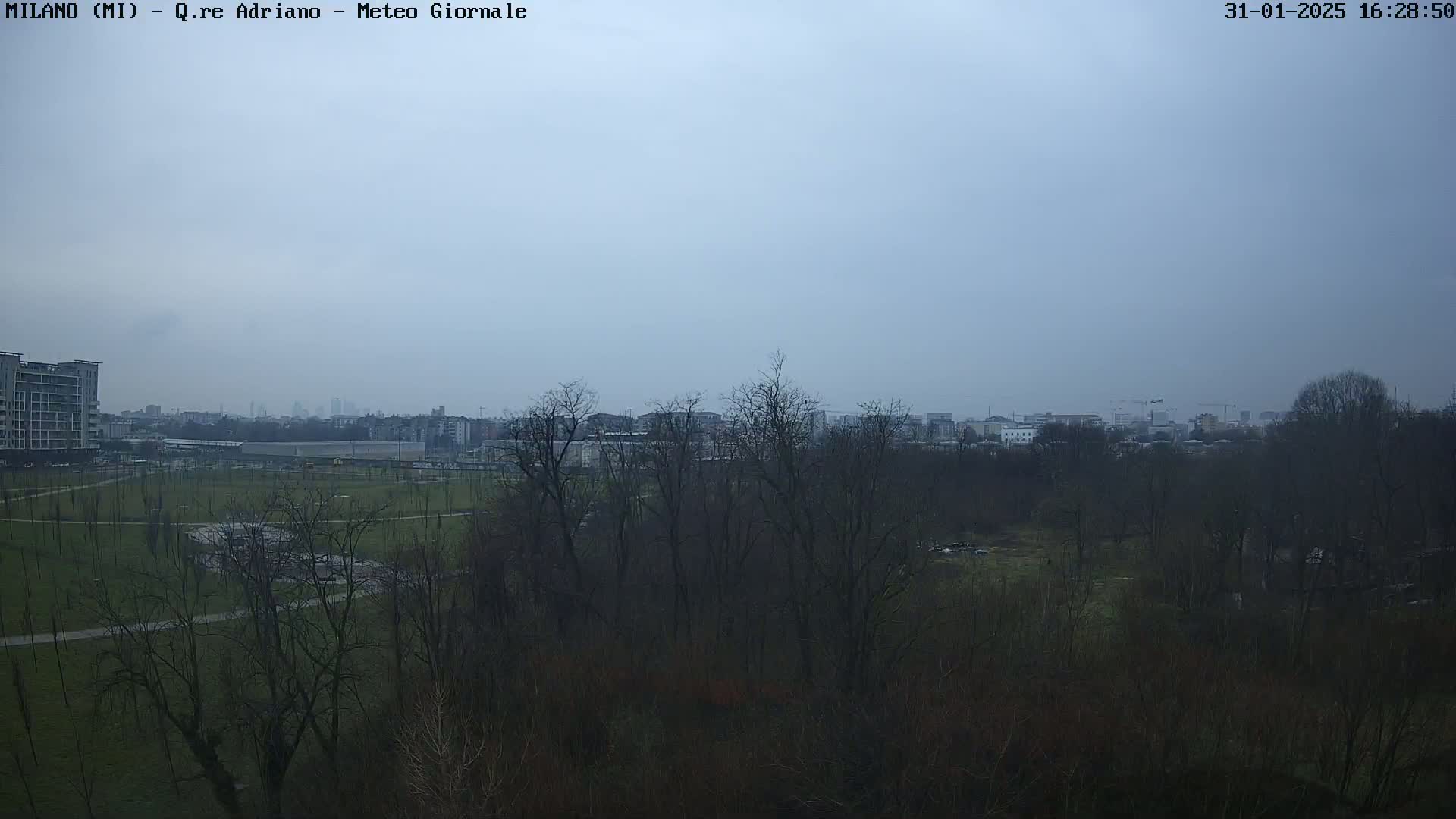 A view of a park with bare trees under an overcast sky, showing buildings and a city skyline in the distance.