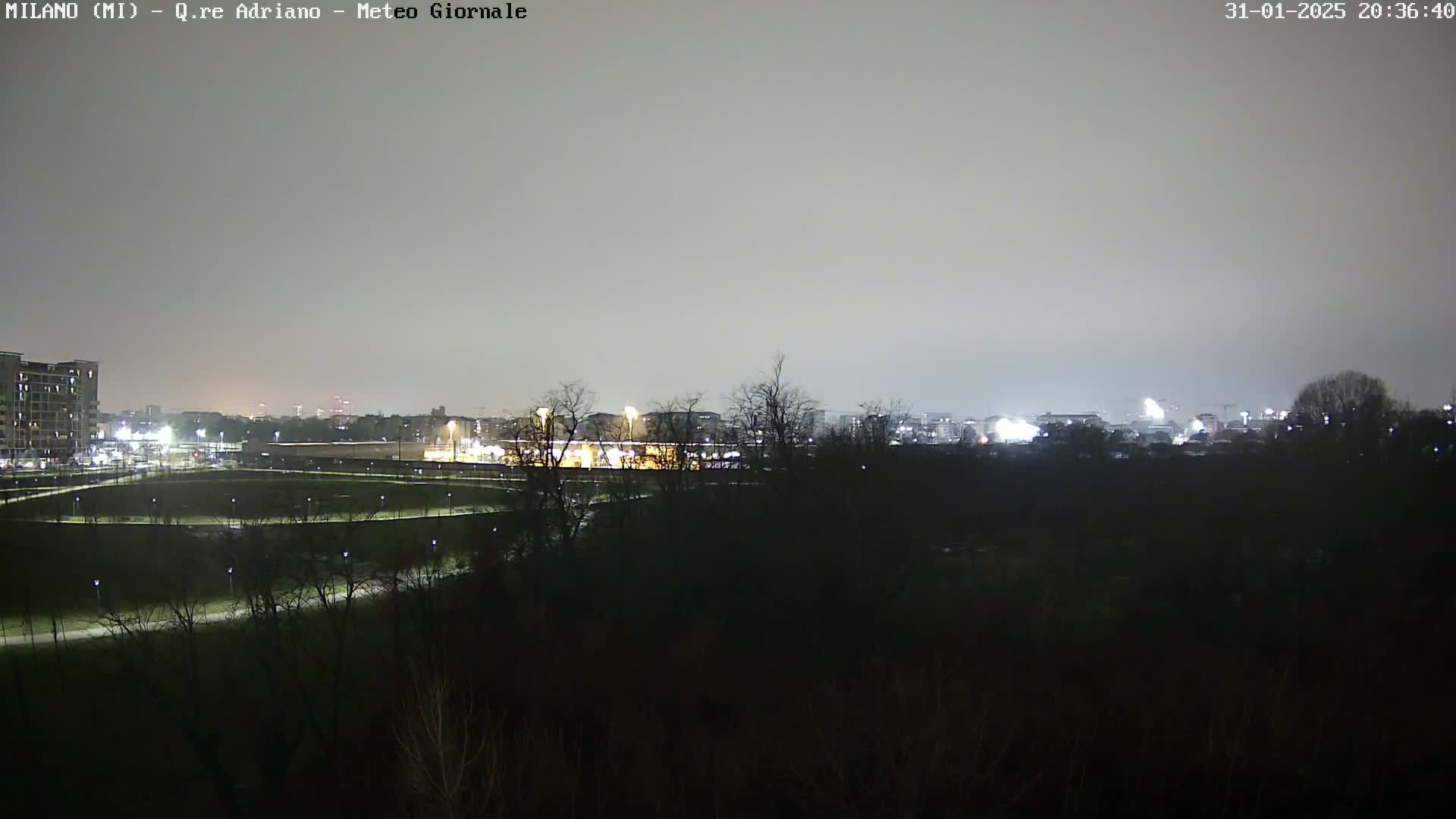 A nighttime view of a city skyline across a dark park under a hazy, overcast sky.