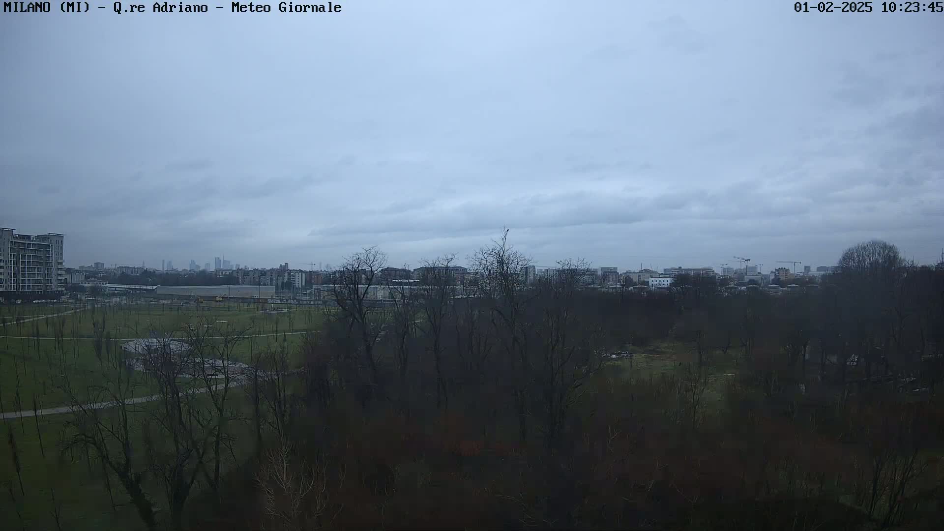 A view of a park with bare trees under an overcast sky, overlooking a city skyline in the distance.