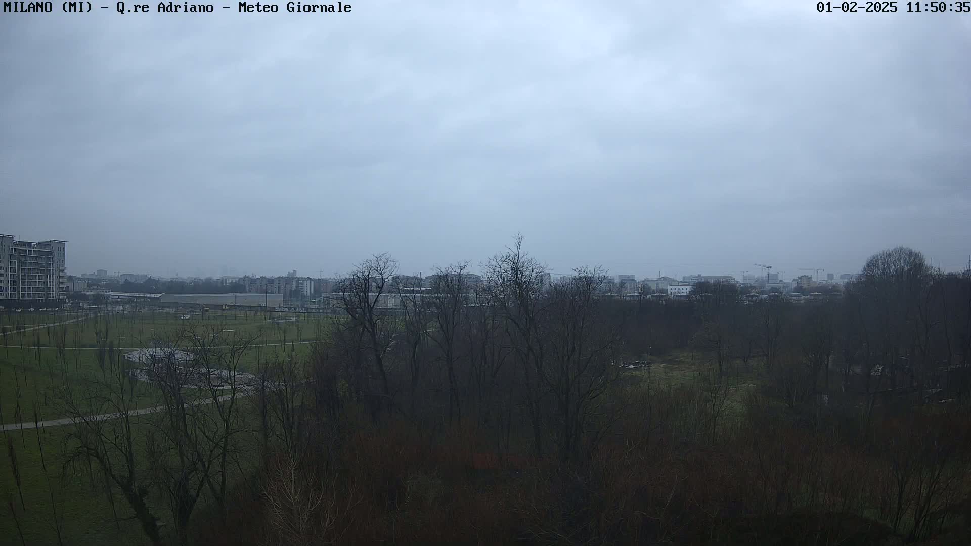 A view of a park with leafless trees and buildings in the distance under an overcast sky.