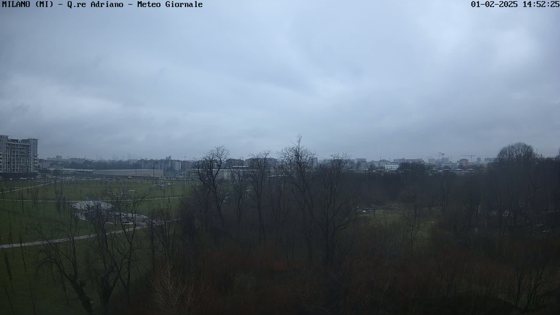 A view of a park and city skyline on an overcast day, with bare trees in the foreground.