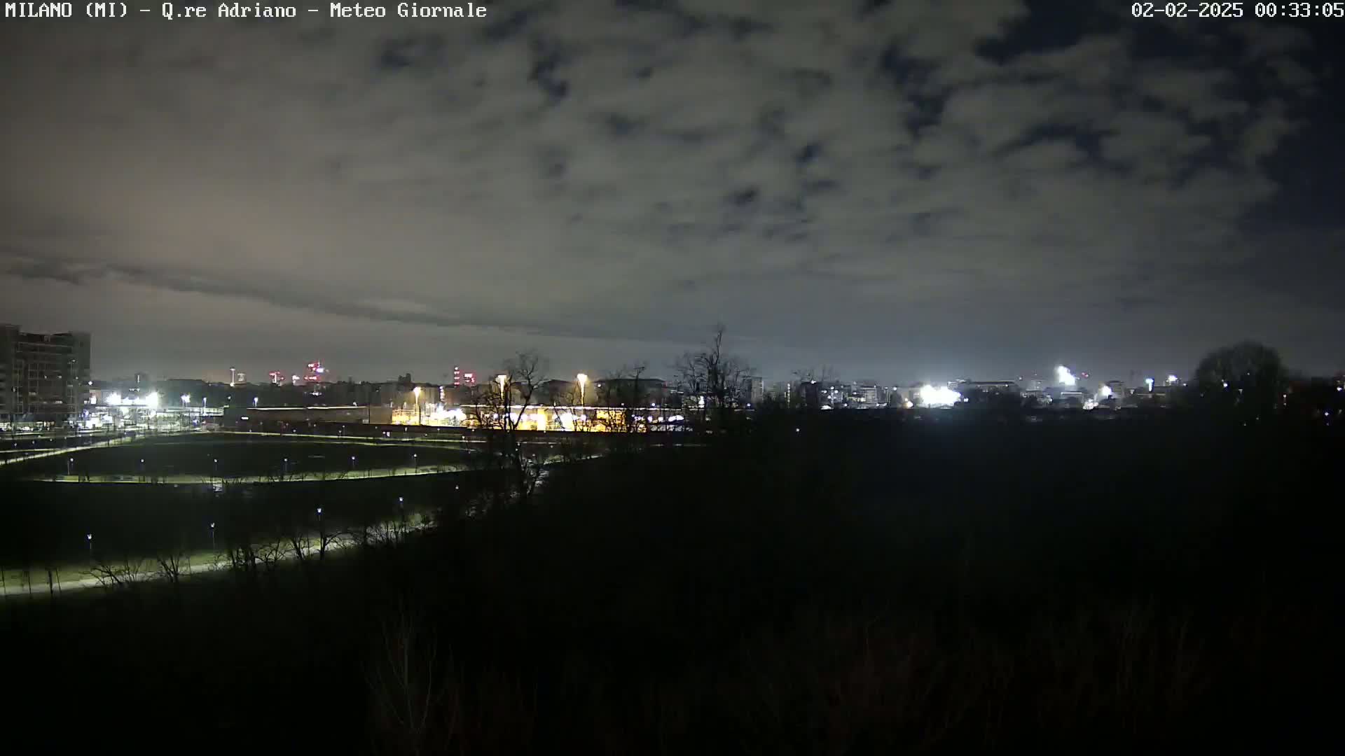 A nighttime view of a city skyline partially obscured by trees and a cloudy sky.