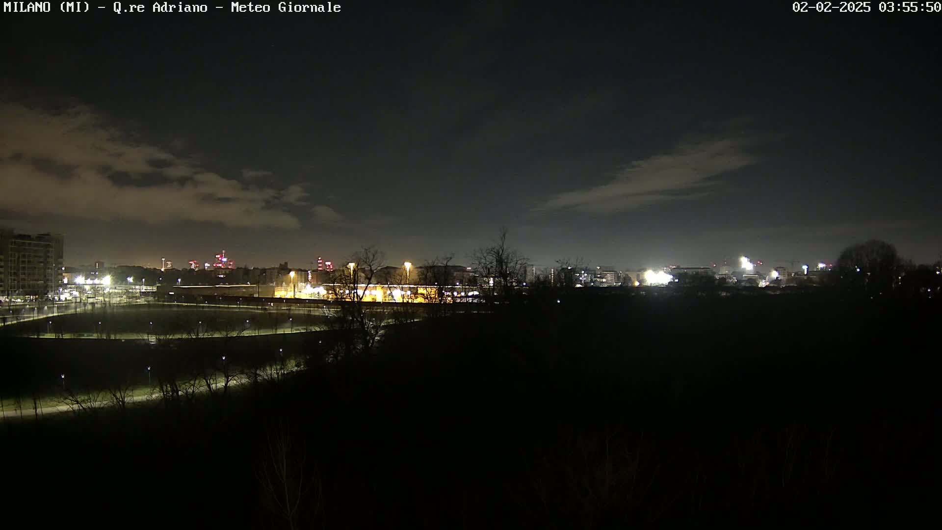 A nighttime view of a city skyline partially obscured by trees and a sparsely clouded sky.