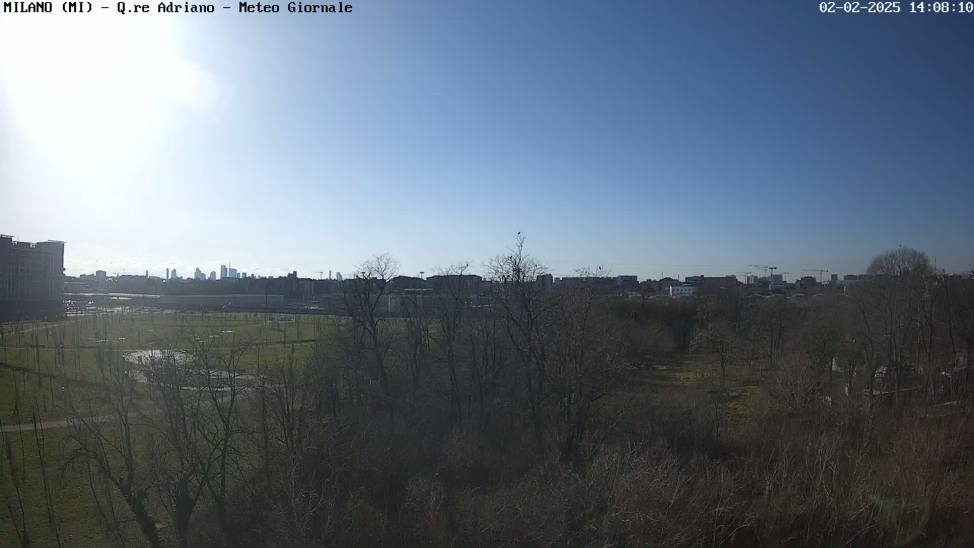 A view of a park with leafless trees in the foreground, a city skyline in the distance under a clear blue sky.
