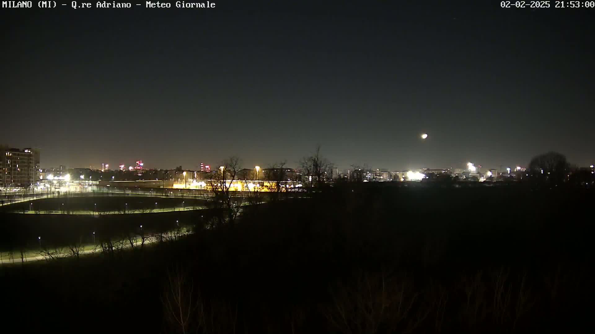 A nighttime view of a city skyline illuminated by lights, partially obscured by a dark foreground of trees and shrubs under a clear, moonlit sky.