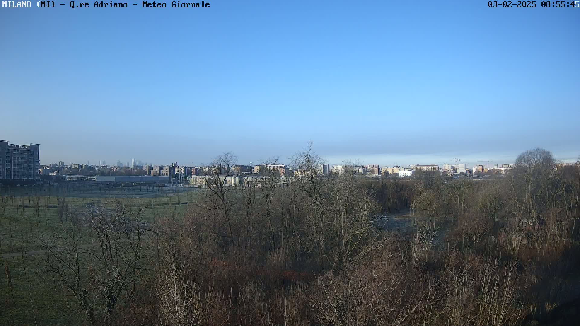 A clear blue sky overlooks a cityscape beyond a field of leafless trees and a flat, grassy area.