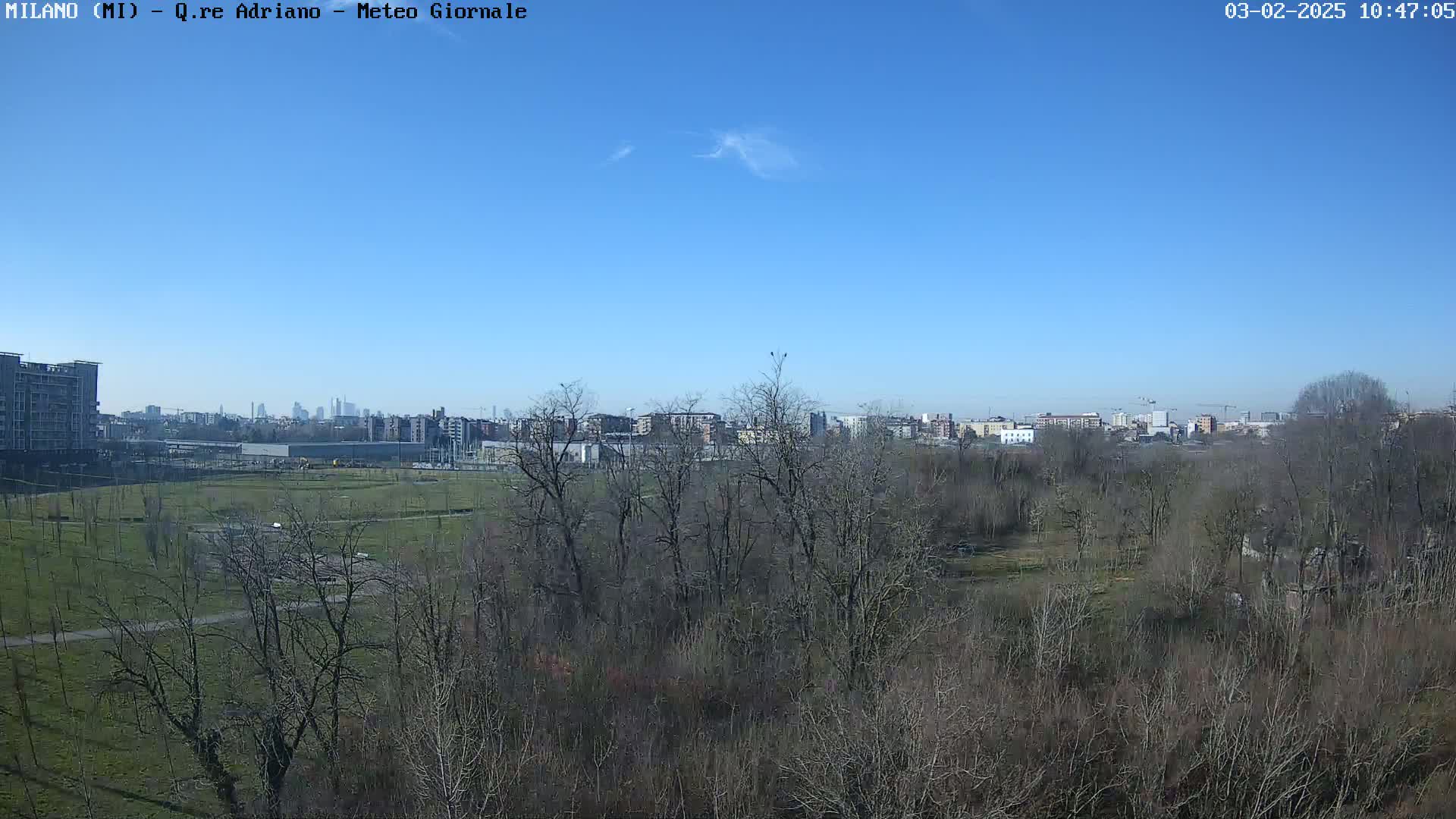 A mostly sunny day reveals a view of a city skyline beyond a flat, sparsely treed park.