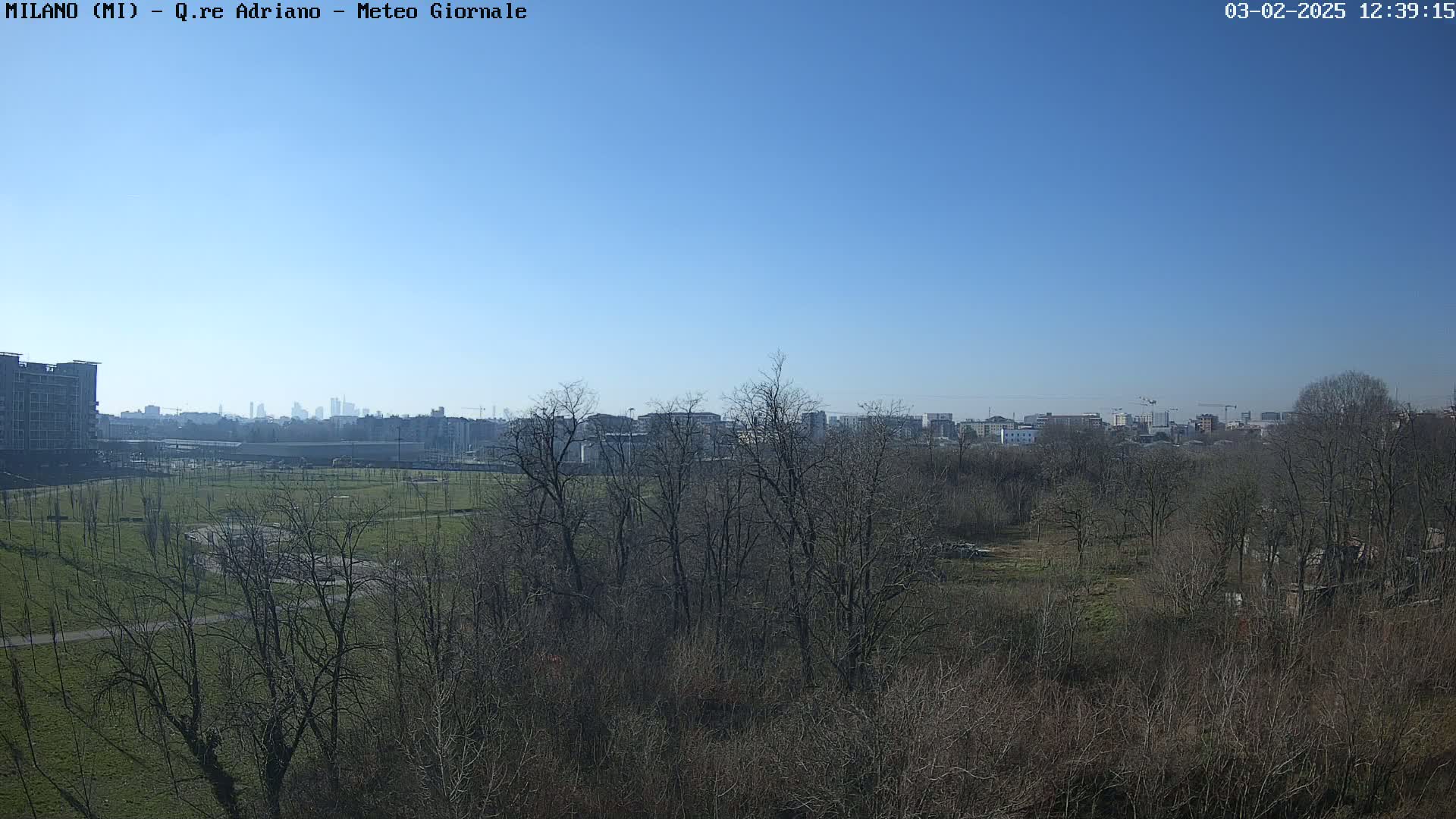 A long shot of a park with leafless trees and a distant cityscape under a clear blue sky.