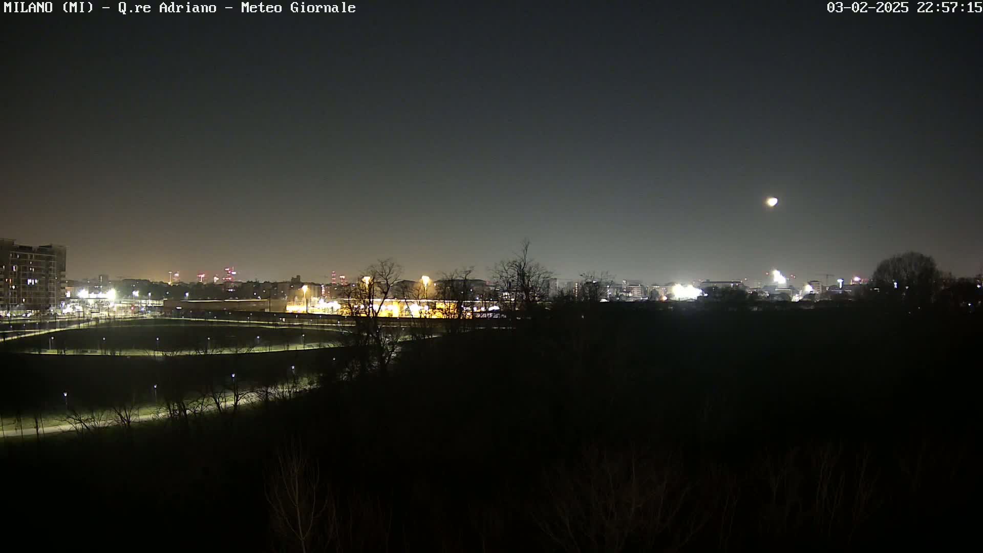 A nighttime long shot of a city skyline partially obscured by dark trees and shrubs under a clear, moonlit sky.