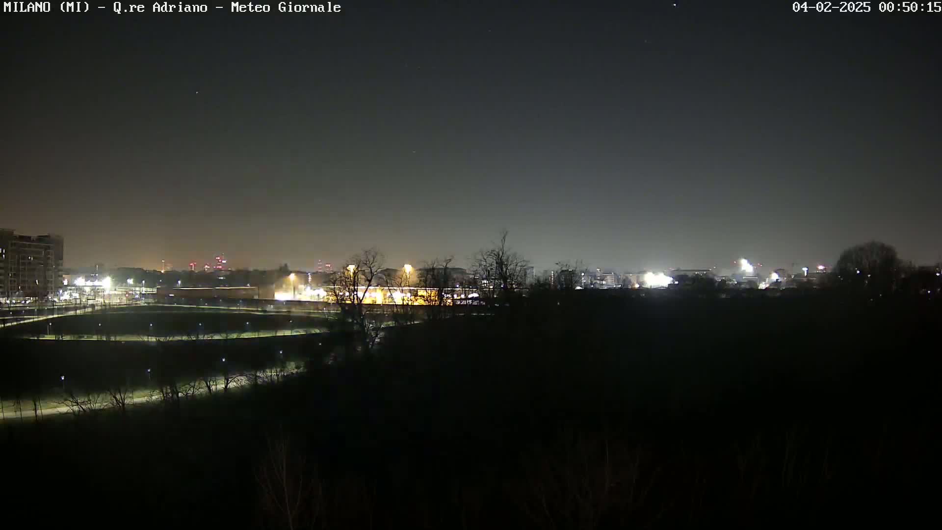 A nighttime long shot of a city skyline partially obscured by dark trees and a park-like area, under a clear, dark sky.