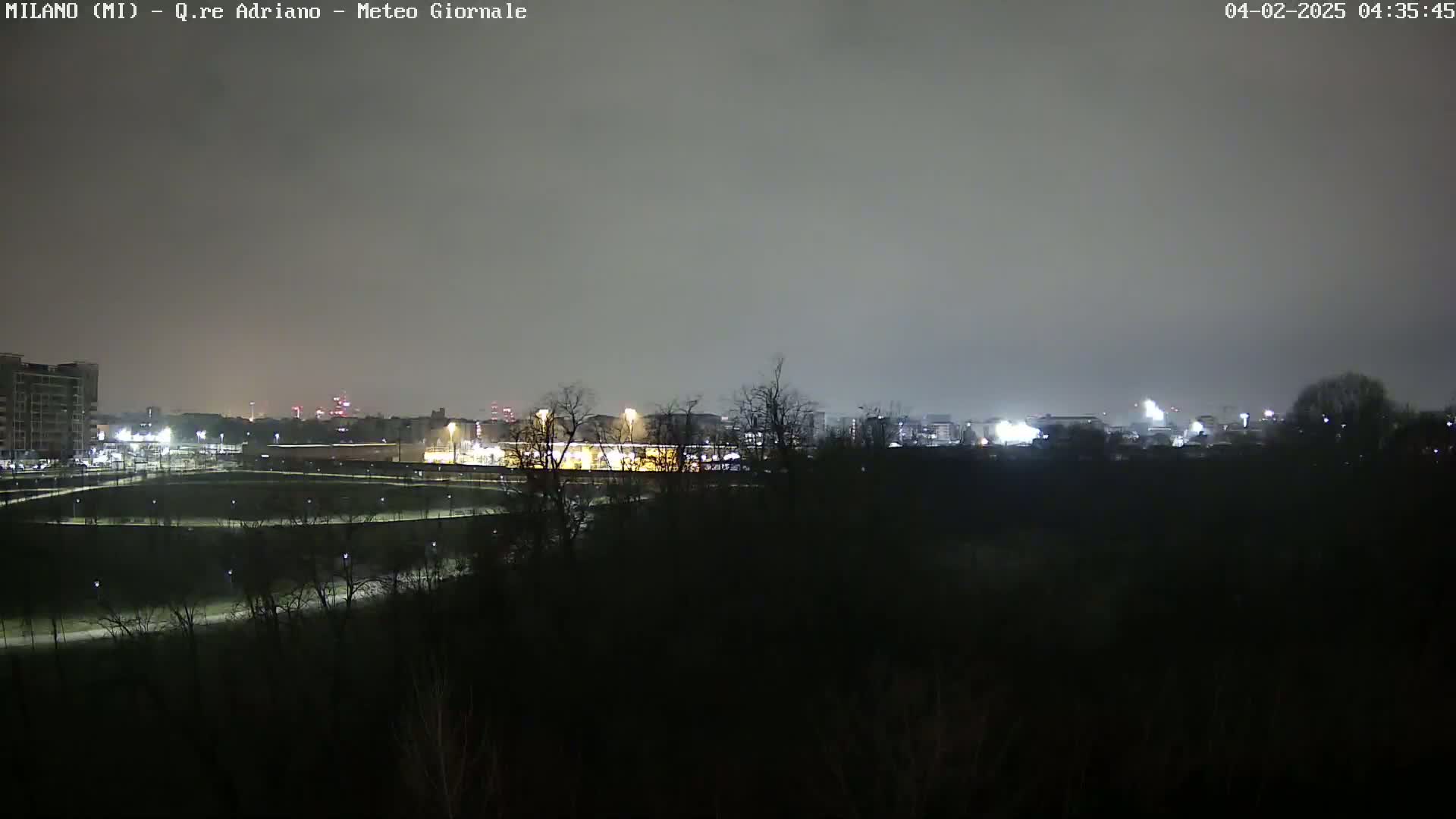 A nighttime view of a city skyline partially obscured by a dark, tree-lined area under an overcast sky.