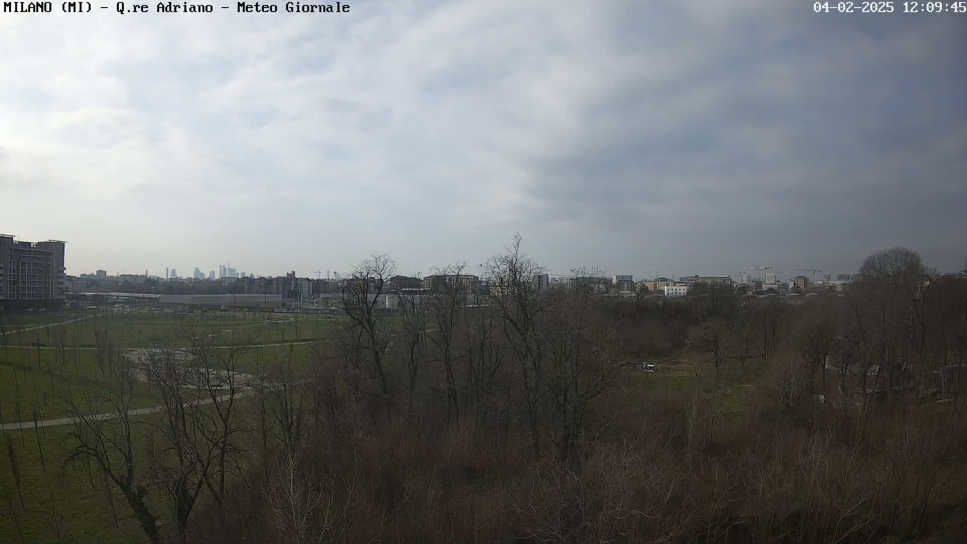 A view of a city skyline on a cloudy day, seen from across a park with bare trees.