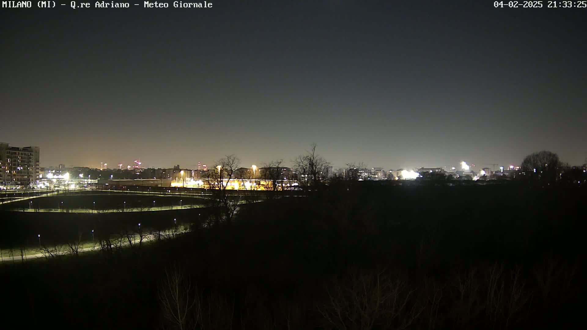 A nighttime view of a city skyline across a dark, treelined park under a clear, dark sky.