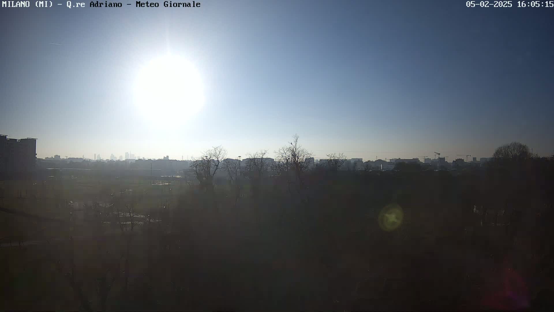 A hazy, sunny day reveals a cityscape in the distance beyond a park filled with bare winter trees.