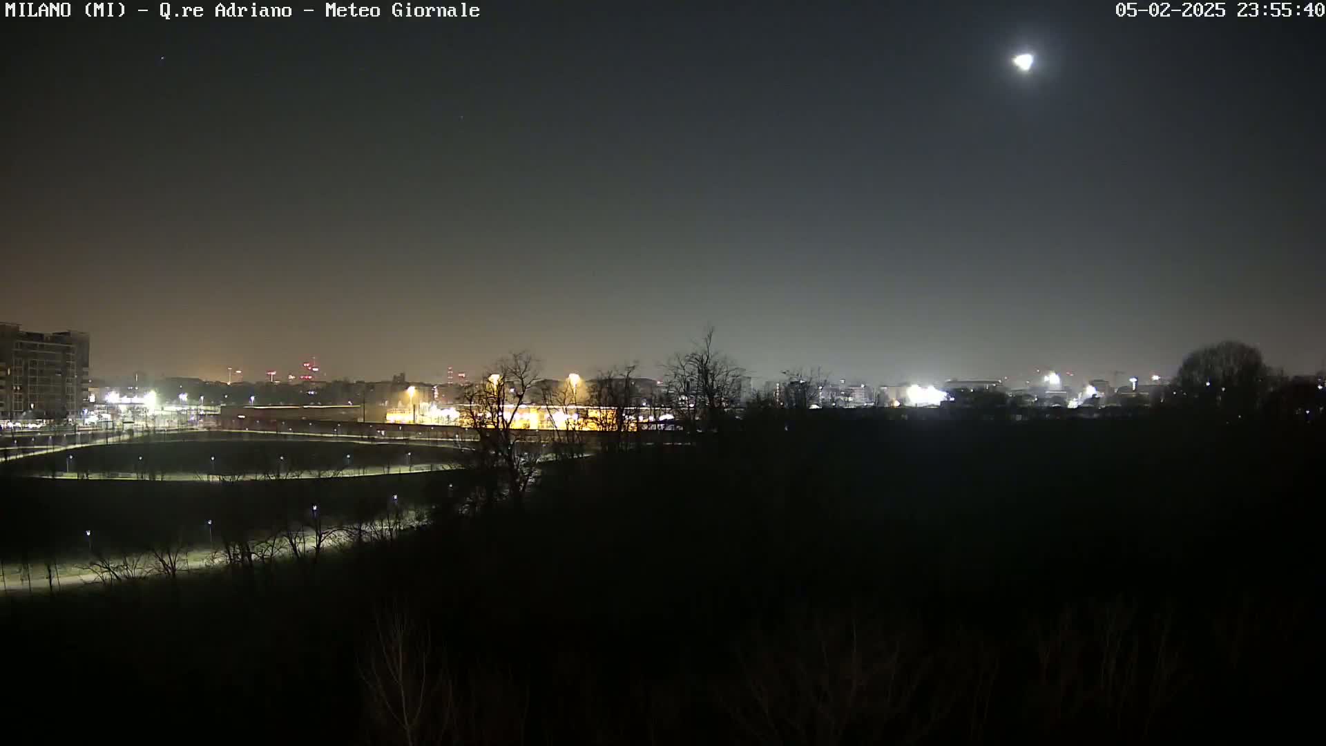 A nighttime view of a city skyline partially obscured by trees under a clear, moonlit sky.