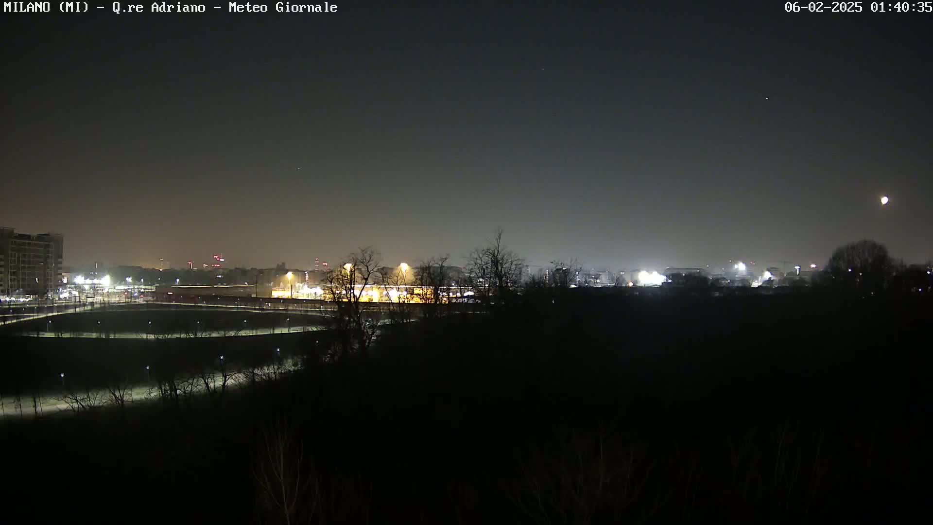 A nighttime view of a city skyline dimly lit, partially obscured by dark trees and shrubs in the foreground under a mostly clear night sky.