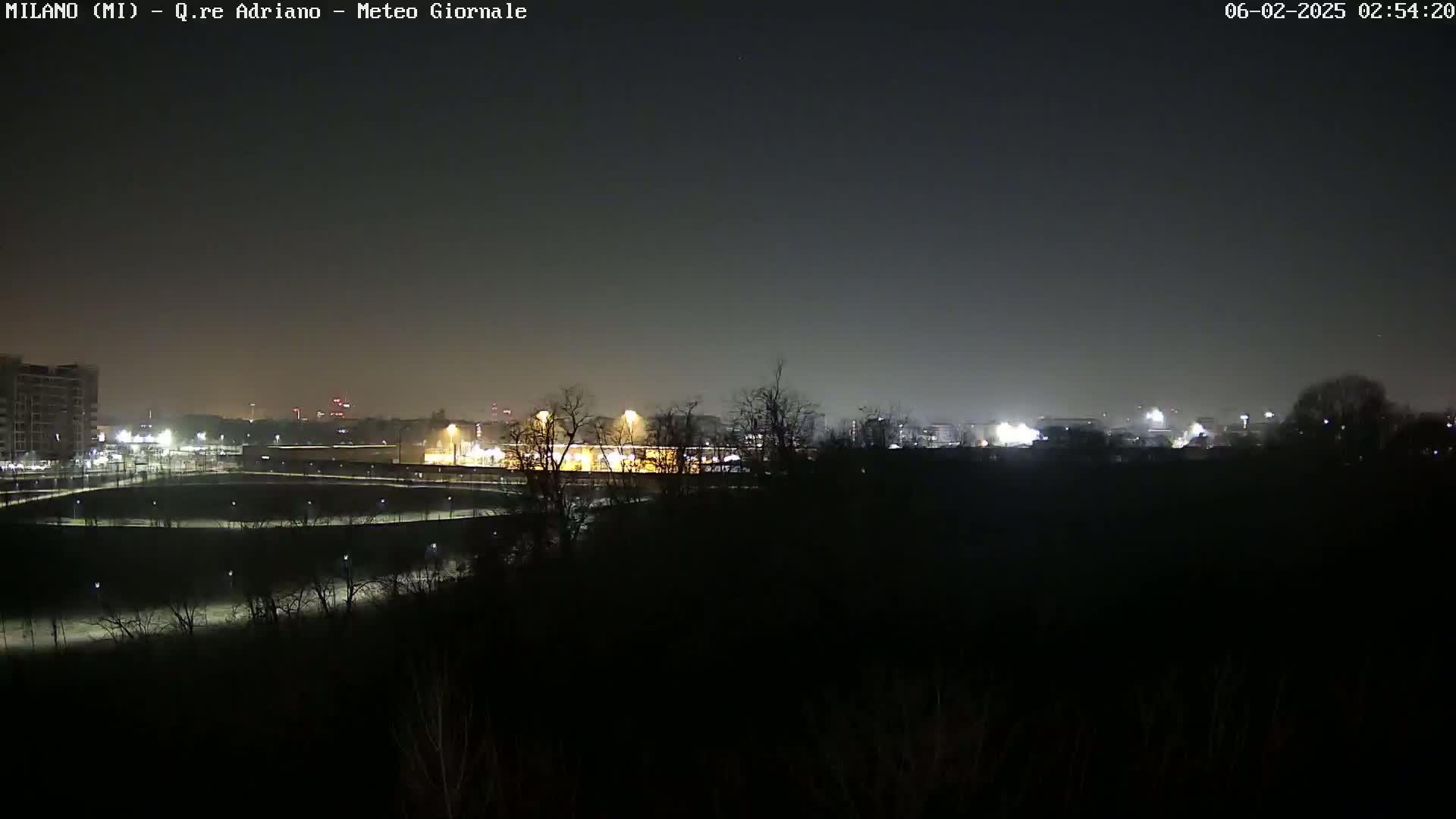 A nighttime long shot shows a dimly lit cityscape beyond a dark, silhouetted field of trees under a clear, dark sky.