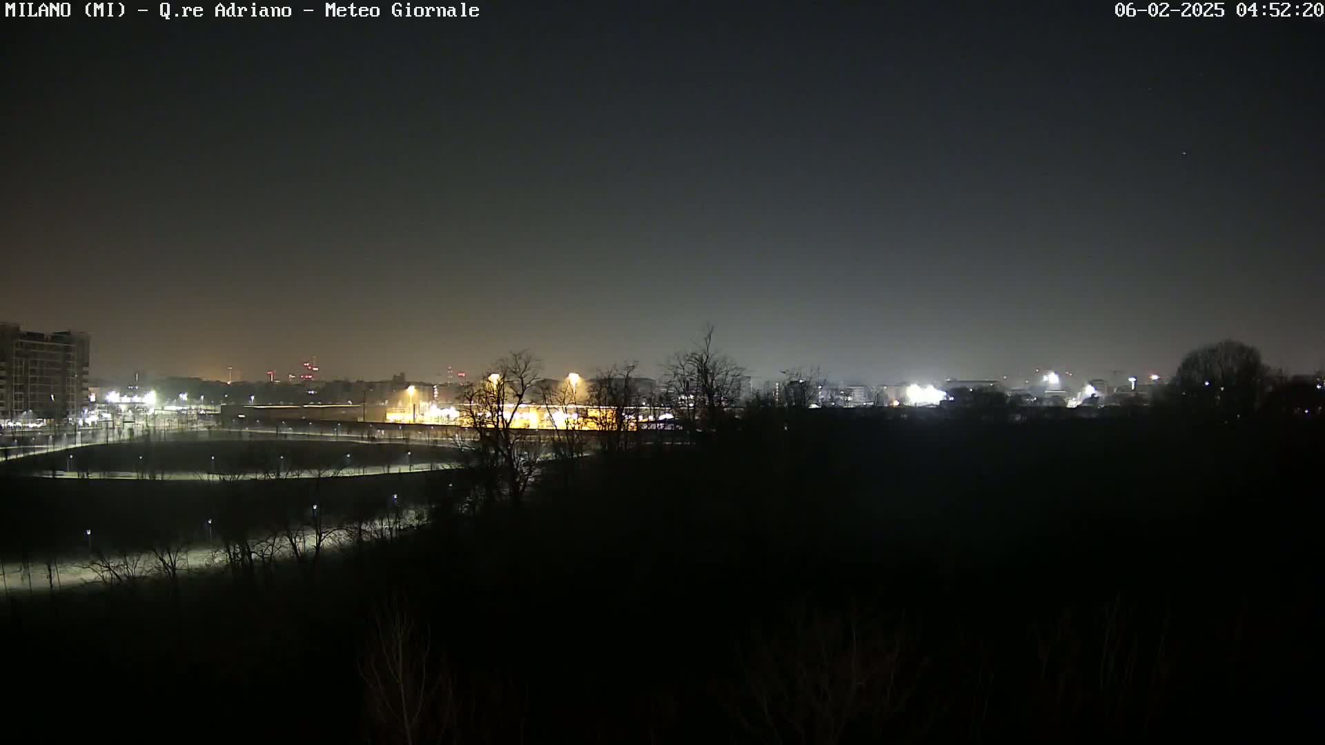 A nighttime view of a city skyline illuminated by lights, with dark trees and a field in the foreground under a clear, dark sky.
