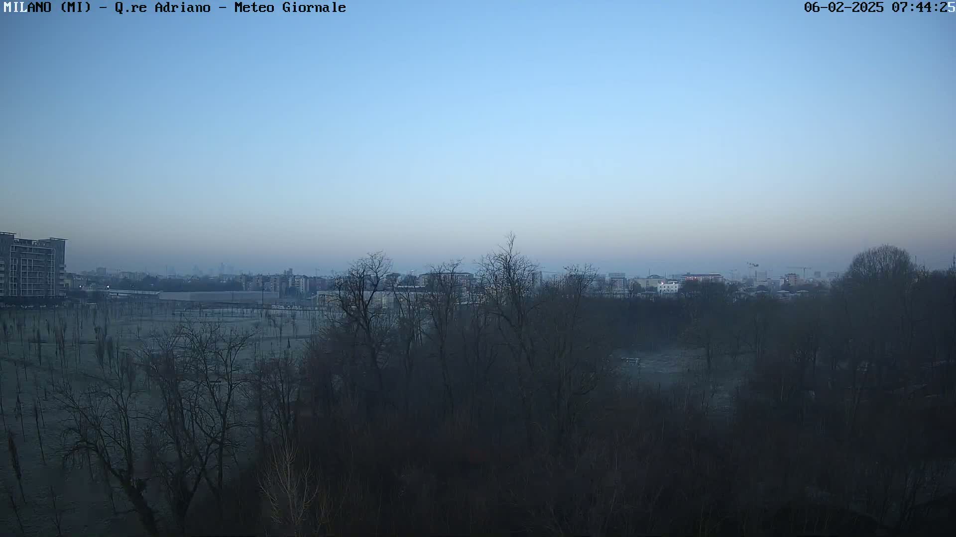 A hazy, pre-dawn view of a city skyline partially obscured by a line of bare winter trees.
