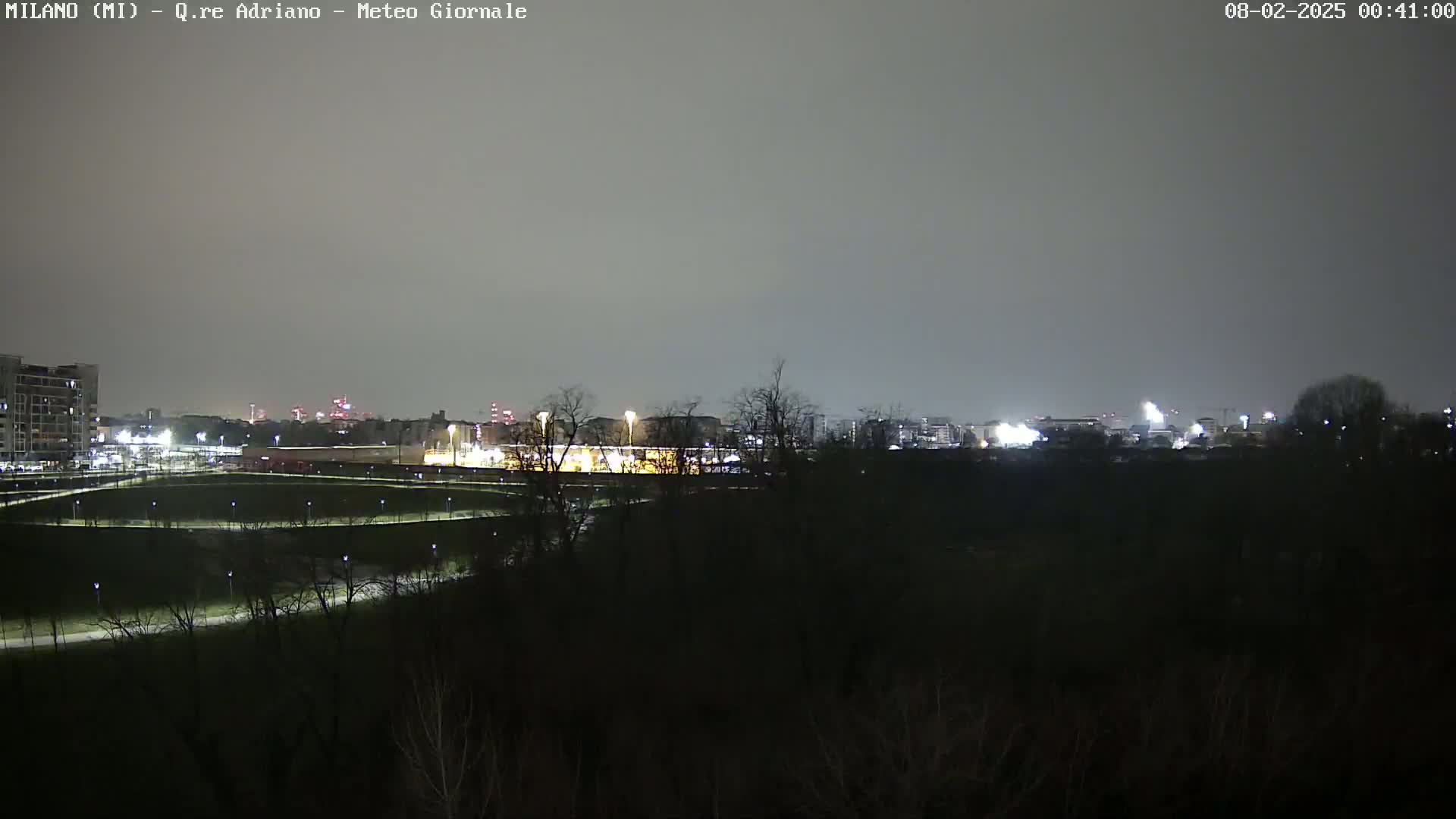 A nighttime view of a city skyline dimly lit under an overcast sky, seen from across a dark, sparsely vegetated park.