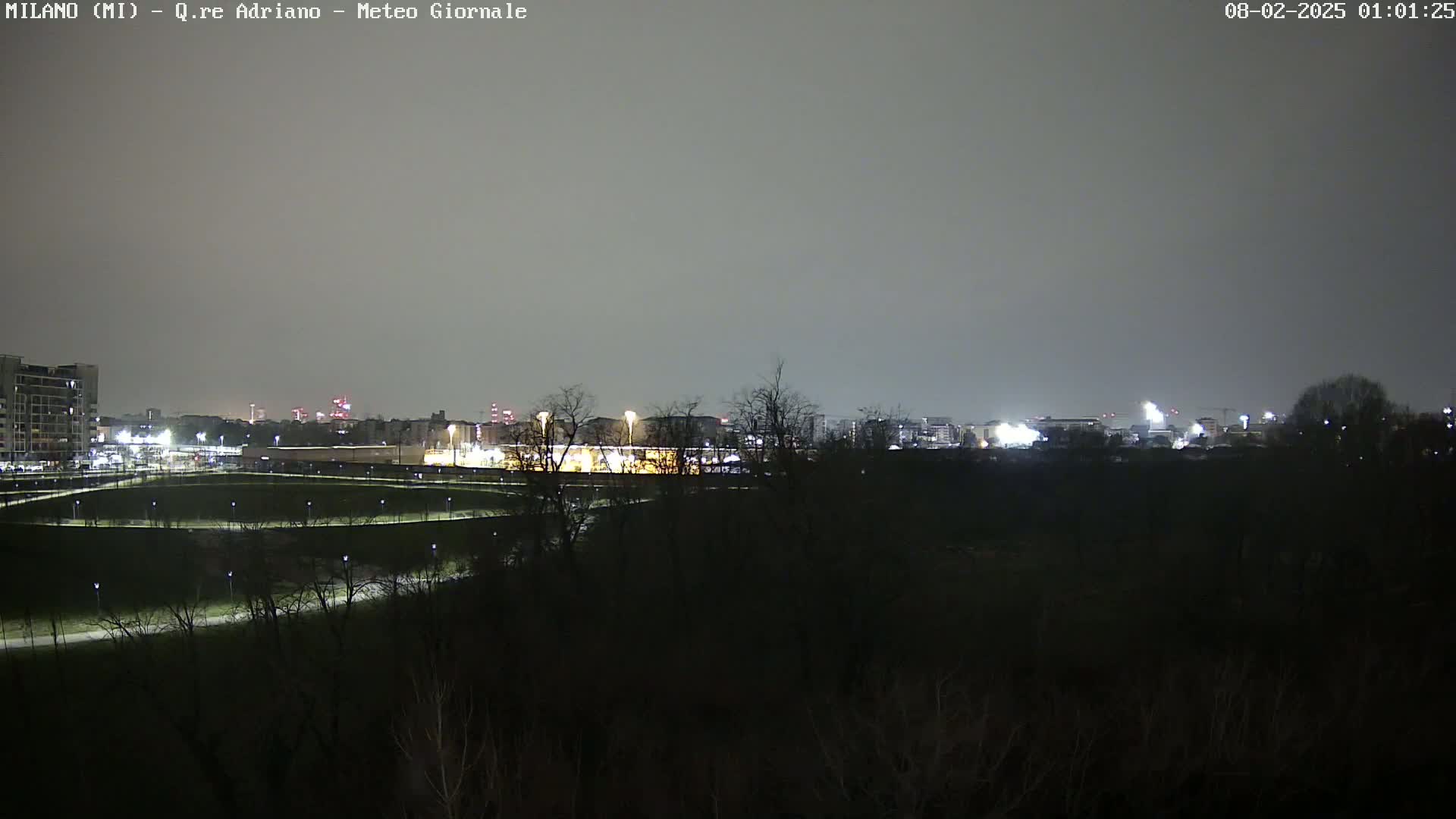A nighttime view of a city skyline across a dark, flat expanse of land with sparse trees under an overcast sky.