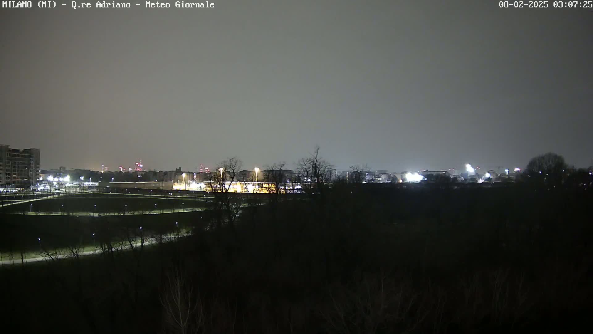 A nighttime view of a city skyline, partially obscured by trees and under a cloudy sky.
