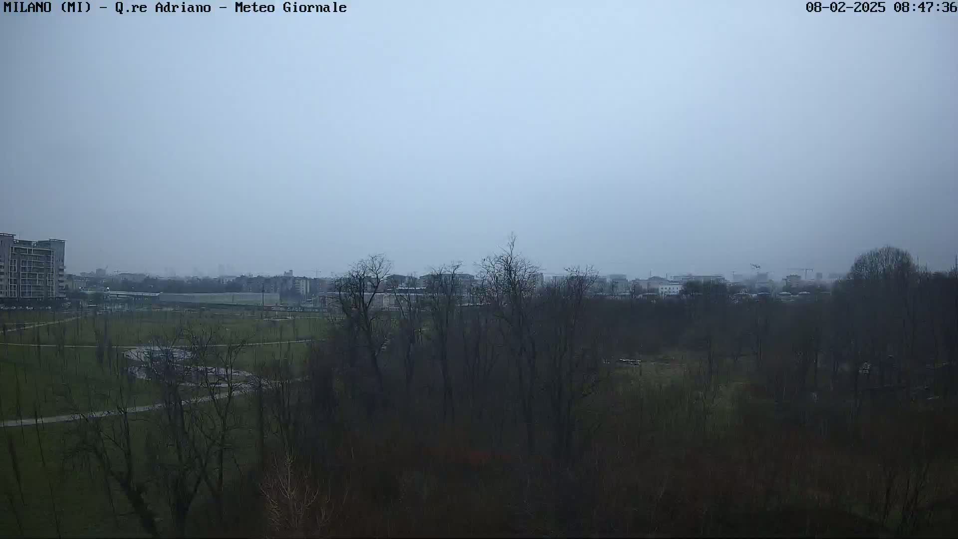 A hazy, overcast day reveals a park with leafless trees, a paved path, and buildings in the distance.