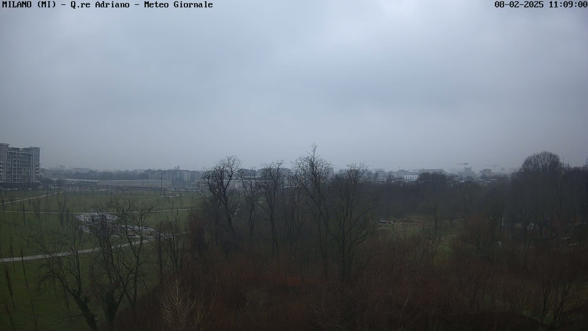 A hazy, overcast day reveals a park with bare trees and buildings in the distance.