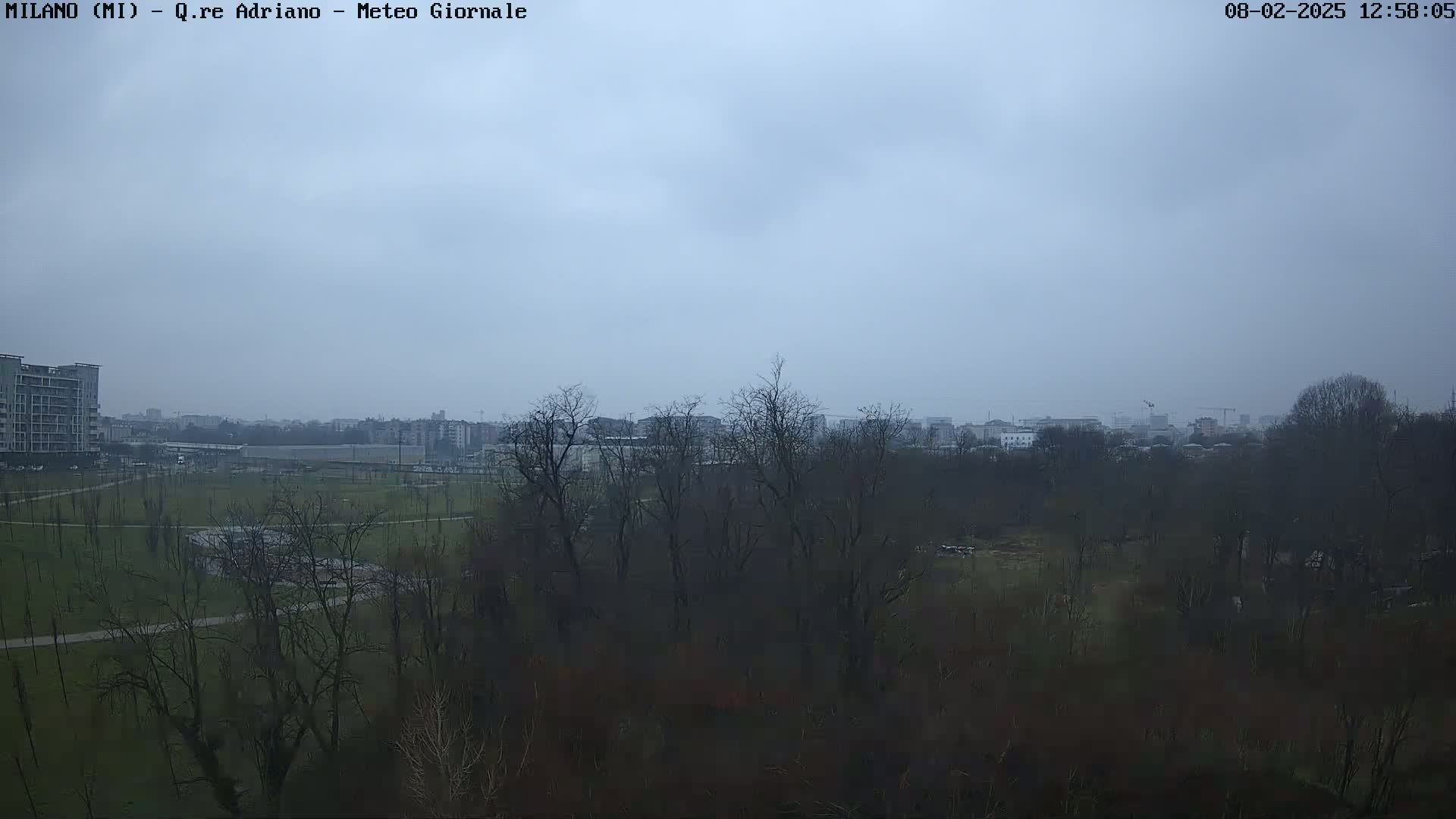 A view of a park and city skyline on an overcast day, with bare trees in the foreground.