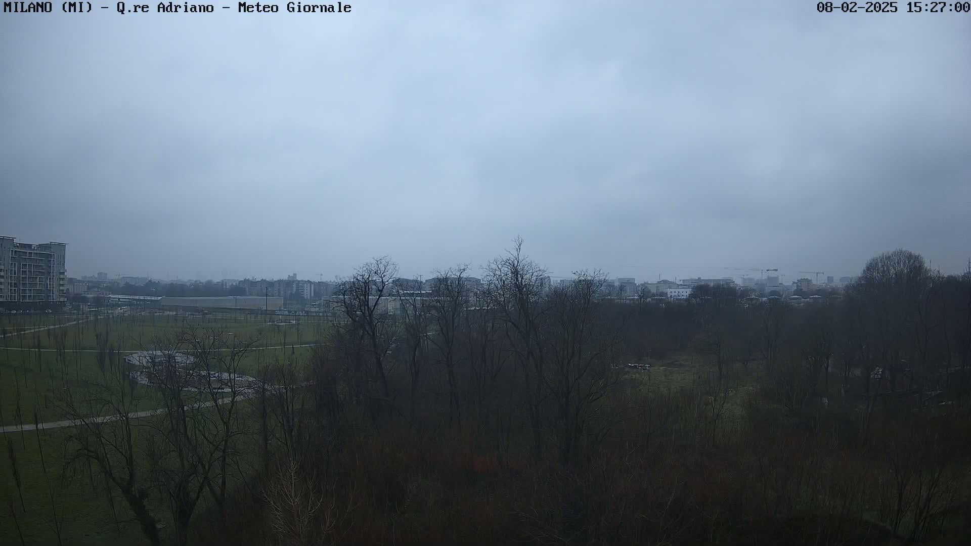 A hazy, overcast sky hangs over a park with bare trees and distant buildings.