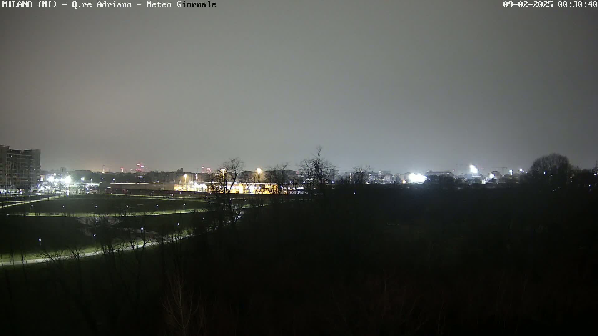 A nighttime view of a city skyline partially obscured by a dark, tree-lined foreground under an overcast sky.