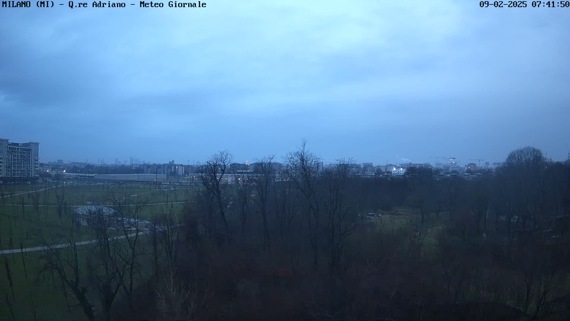 A view of a park with leafless trees under a twilight sky shows a city in the distance.