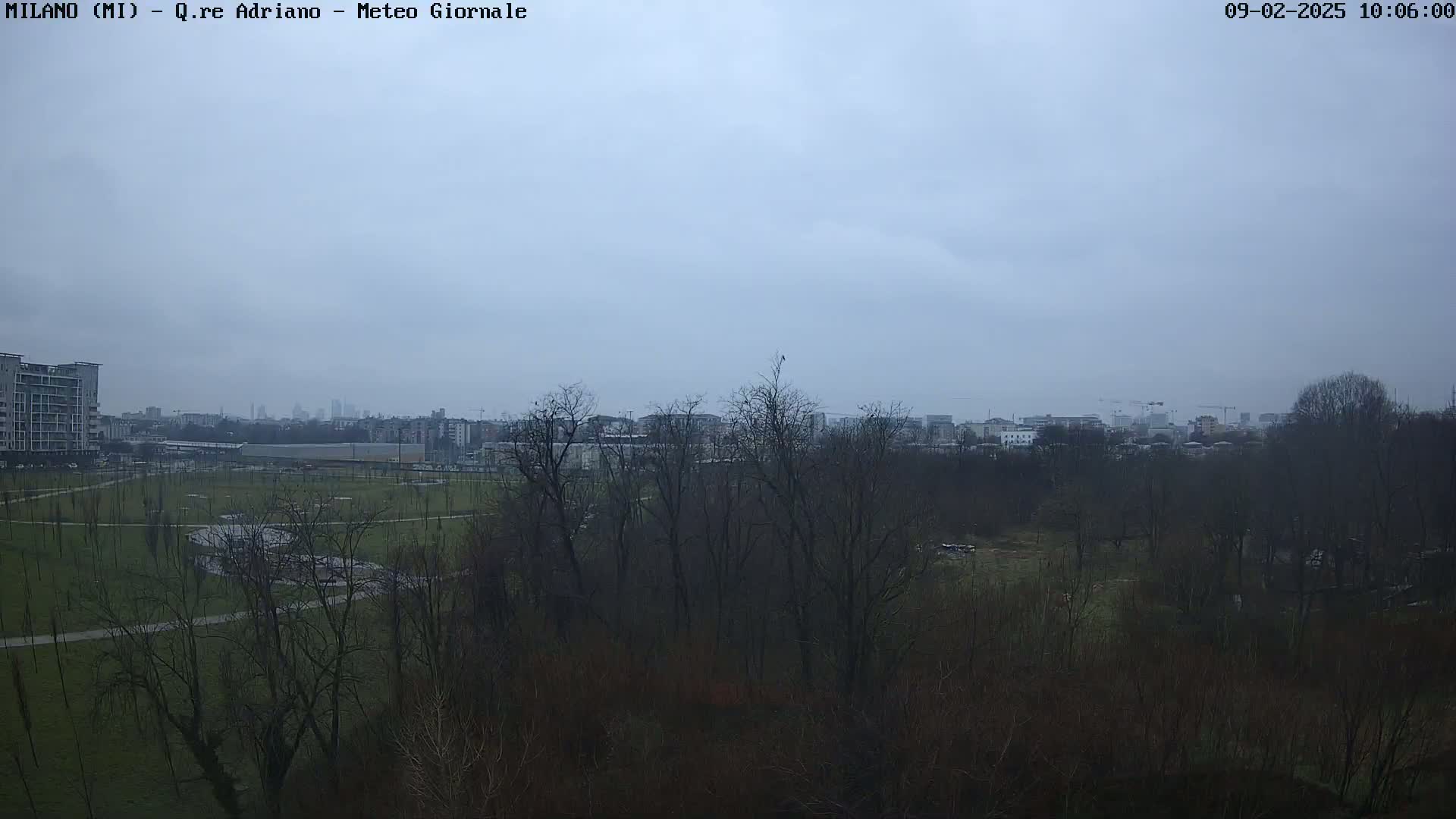 A view of a park with bare trees and buildings in the distance under an overcast sky.
