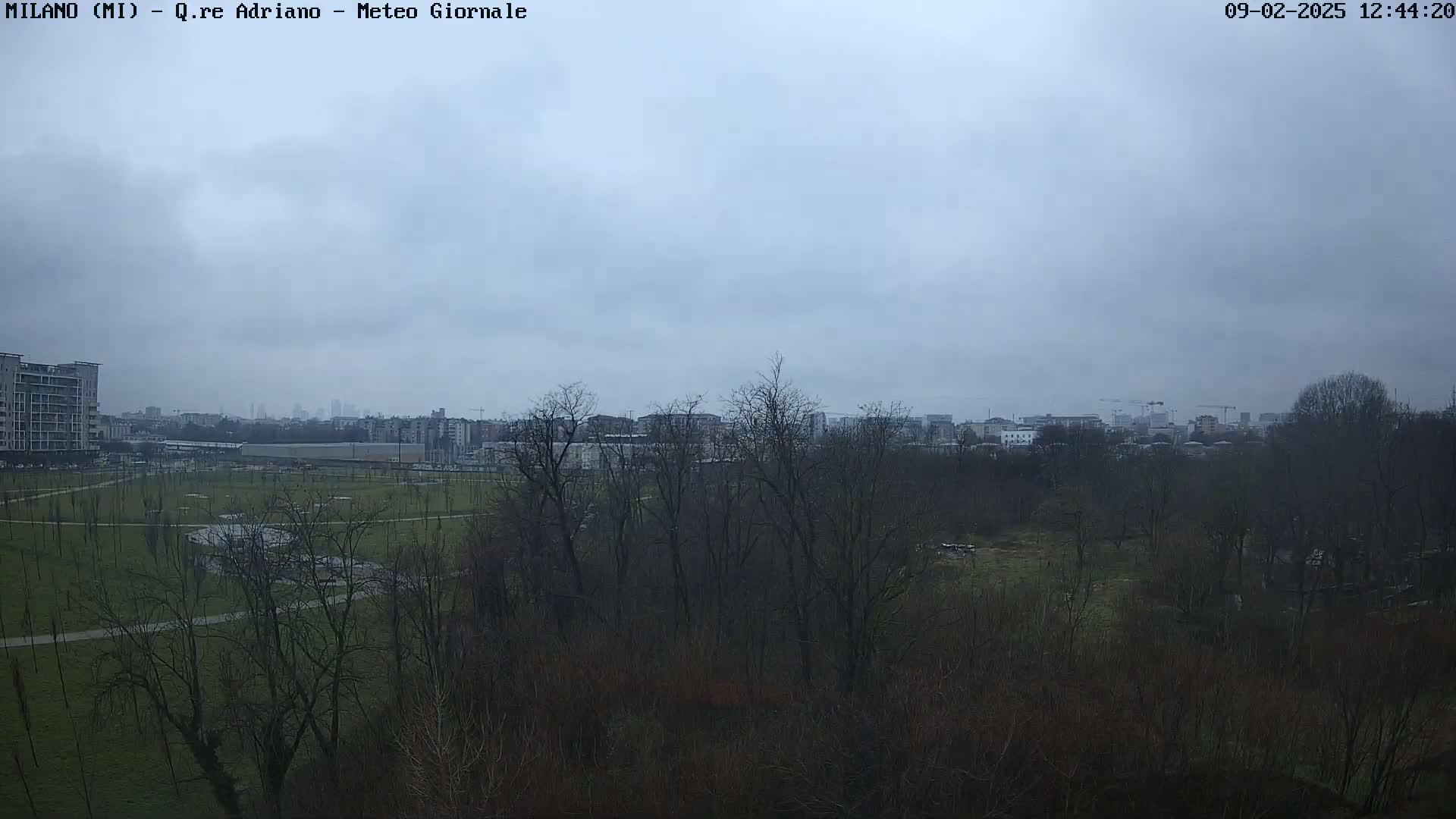 A view of a park with leafless trees under an overcast sky, showing buildings and a city skyline in the distance.