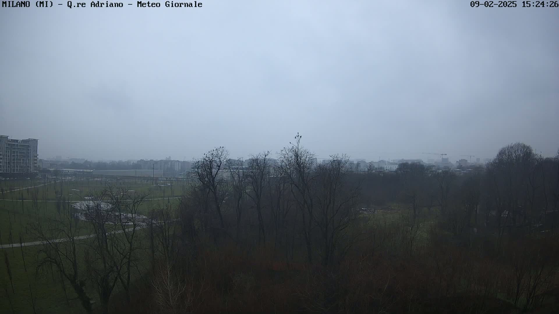 A hazy, overcast day reveals a park with bare trees, a distant cityscape, and a few birds perched in the branches.
