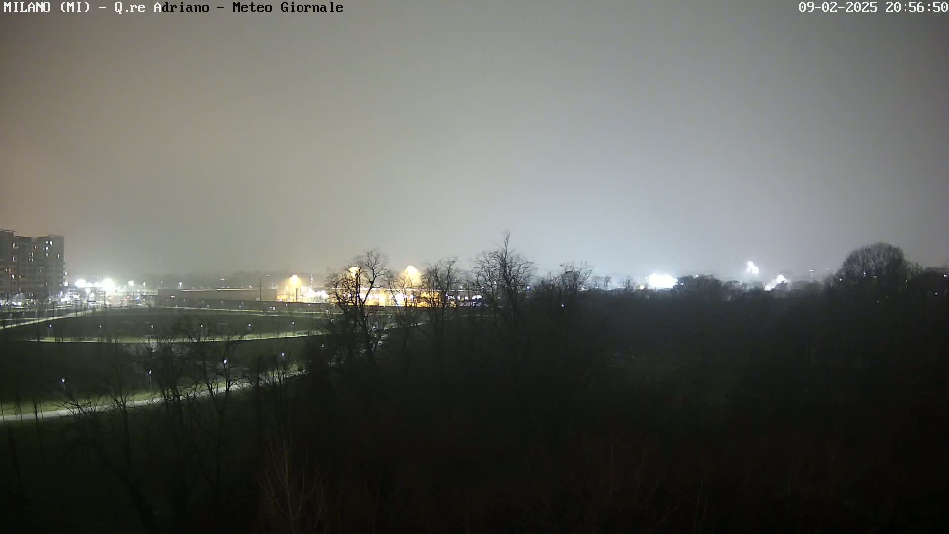A nighttime view of a park and distant buildings under a foggy sky.