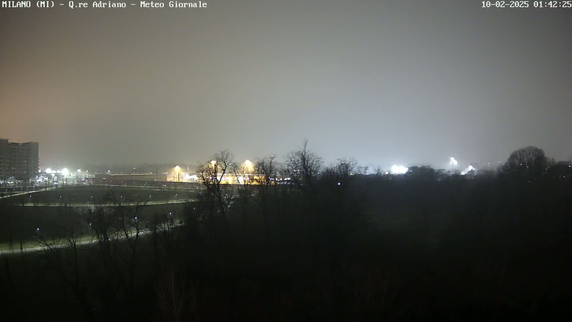 A nighttime, foggy view shows dimly lit buildings and trees in the distance.