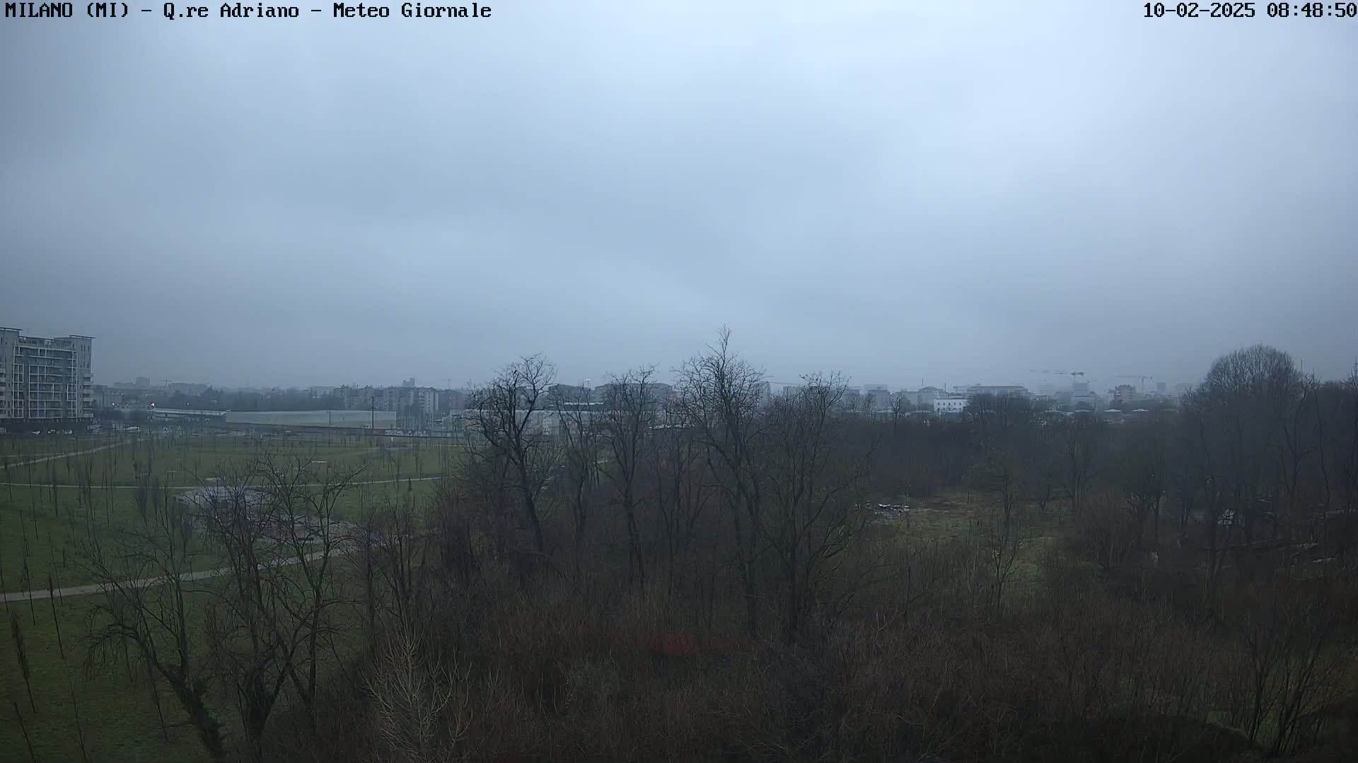 A hazy, overcast sky hangs over a flat expanse of parkland with leafless trees and distant buildings.