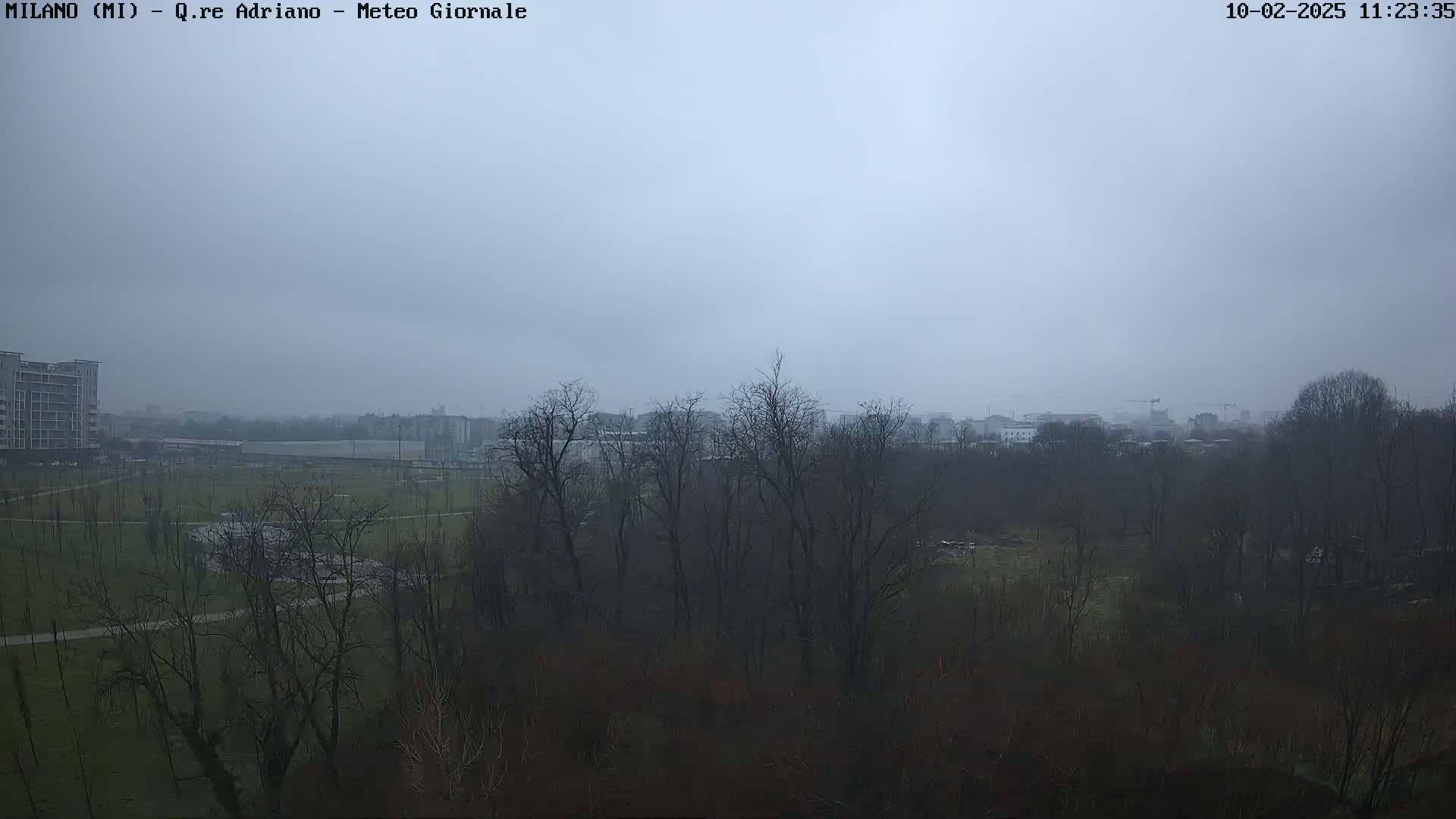 A hazy, overcast day reveals a park with leafless trees and distant buildings under a pale gray sky.
