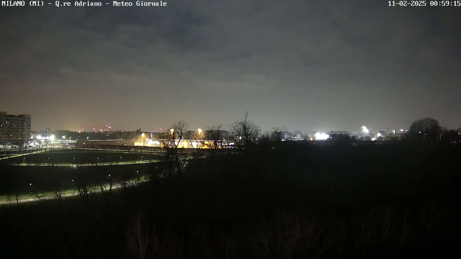 A nighttime view of a city skyline across a dark, tree-lined park under a cloudy sky.