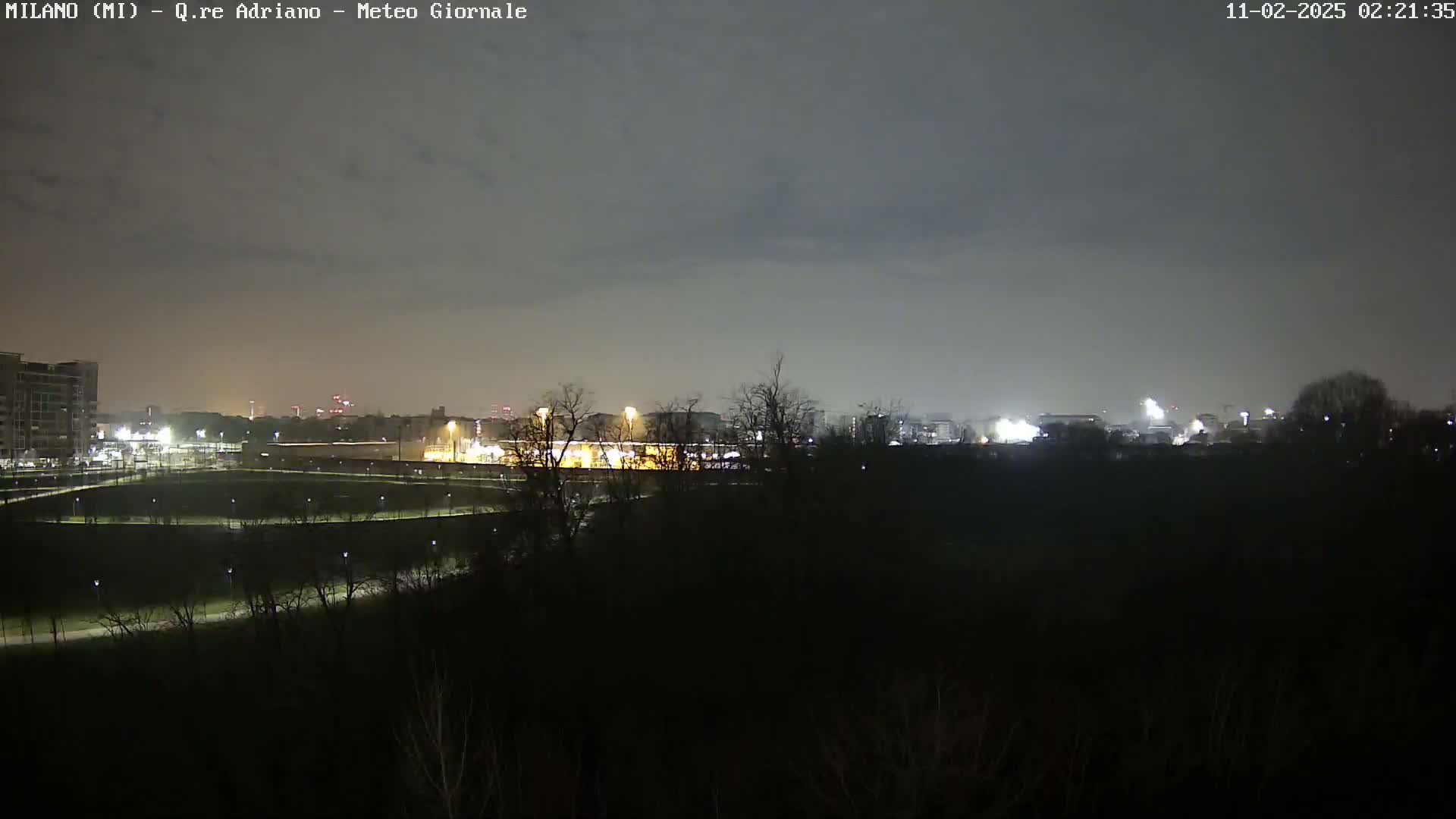 A nighttime view of a city skyline dimly lit under a cloudy sky, seen from across a dark, sparsely vegetated park.