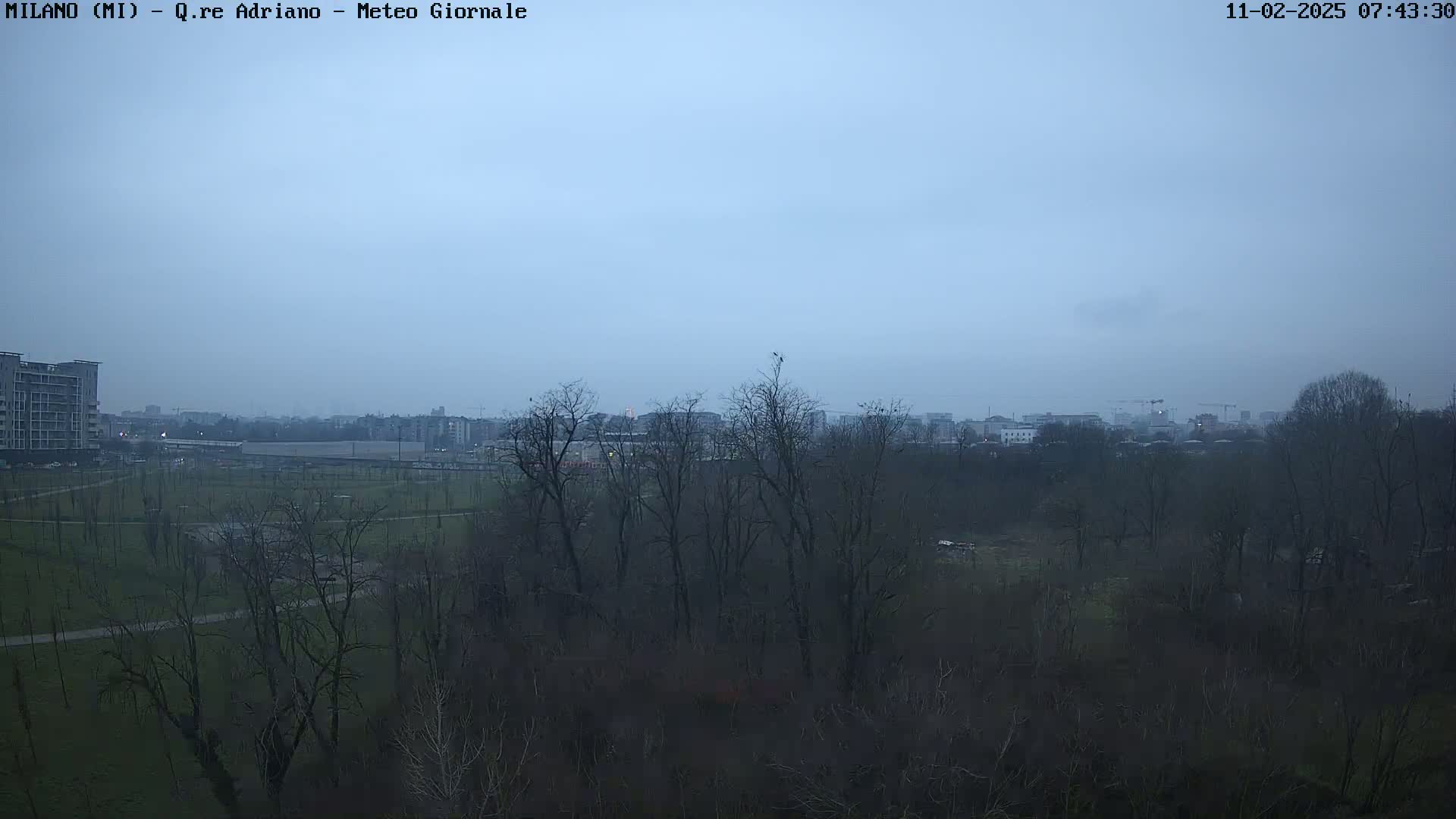 A view of a park with bare trees under a dusky, overcast sky, showing buildings in the distance.